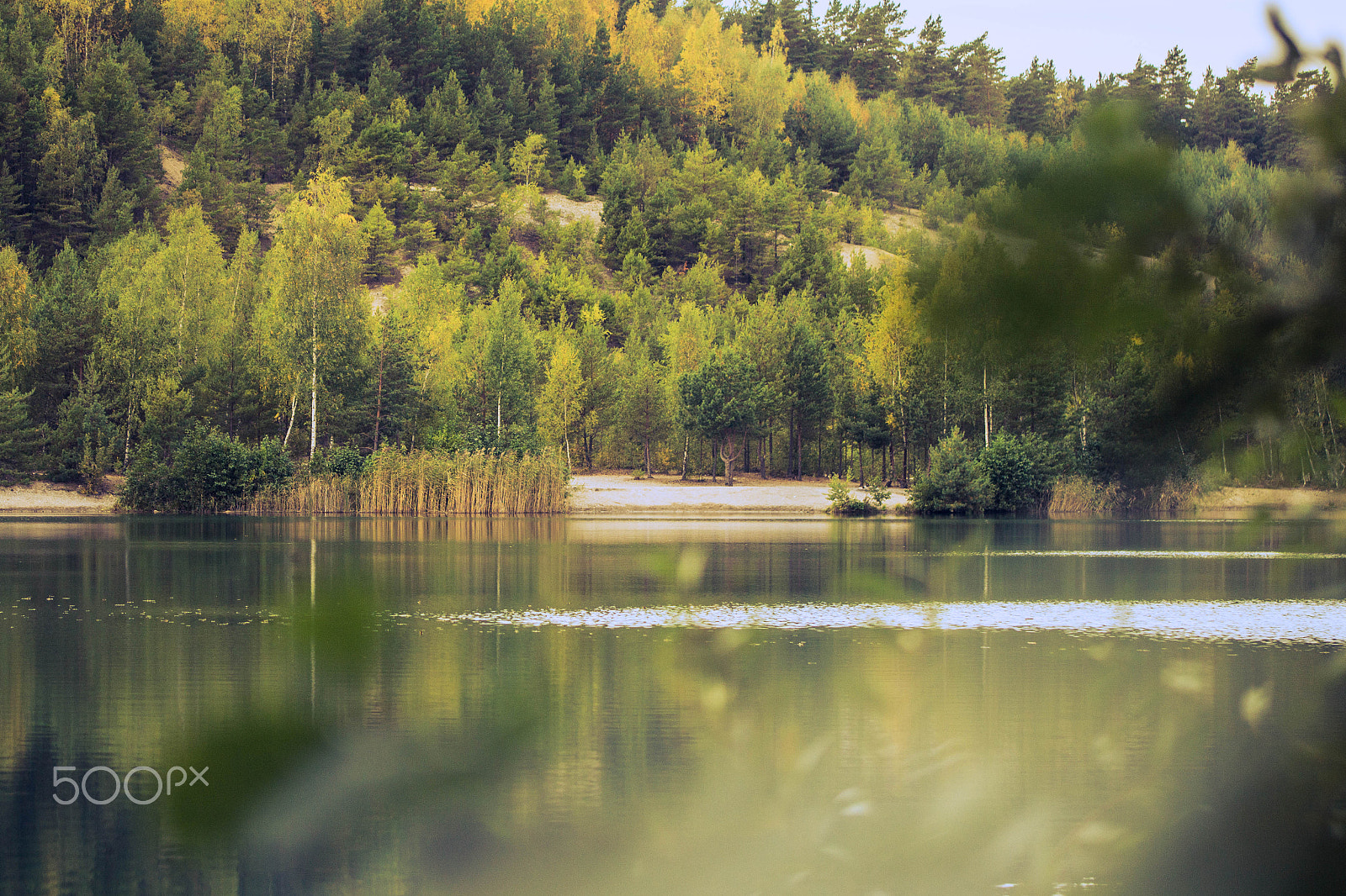 Canon EOS 700D (EOS Rebel T5i / EOS Kiss X7i) + Canon EF 100mm F2.8L Macro IS USM sample photo. Shy lagoon photography