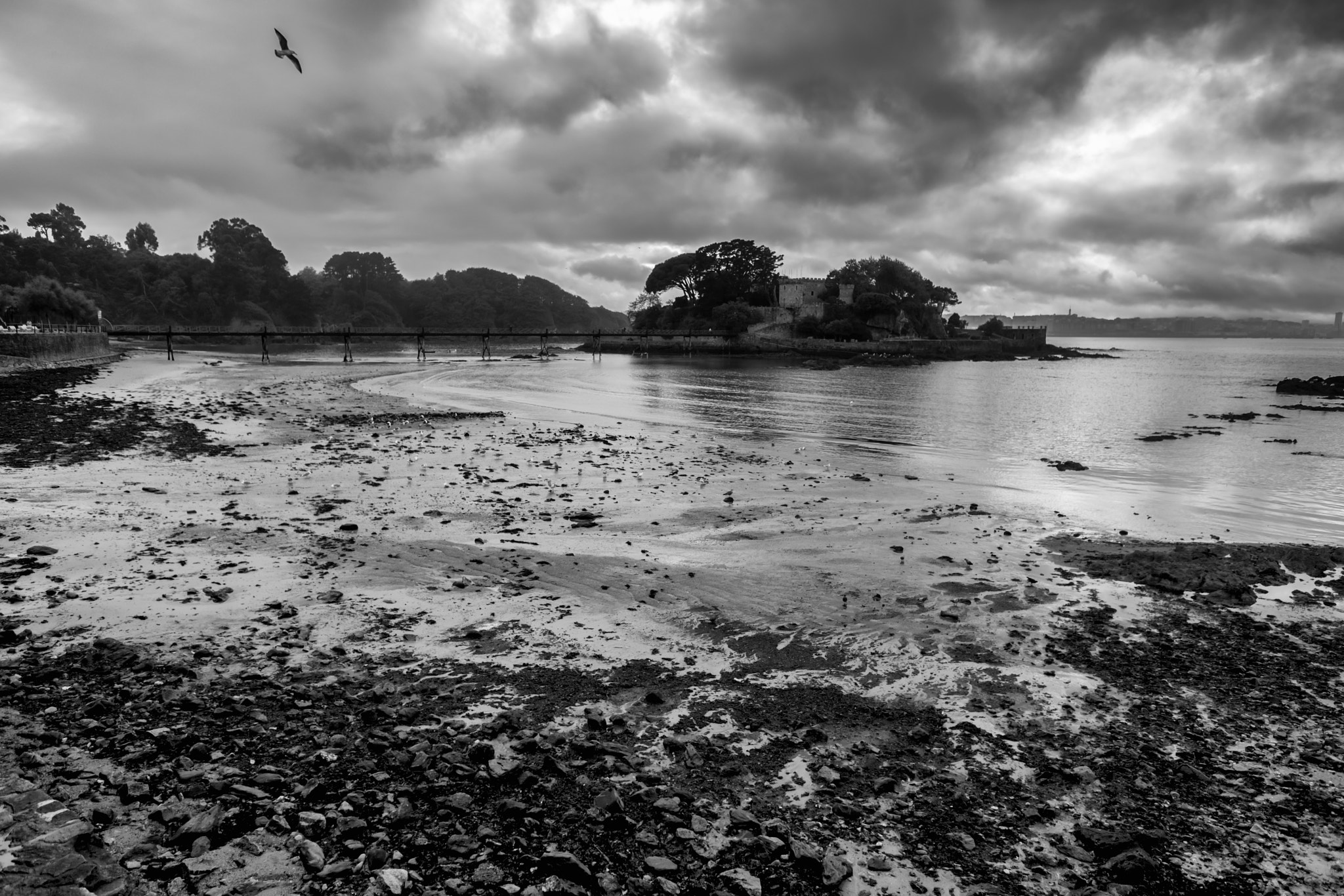 Fujifilm X-T2 + Fujifilm XF 14mm F2.8 R sample photo. B&w stormy weather photography