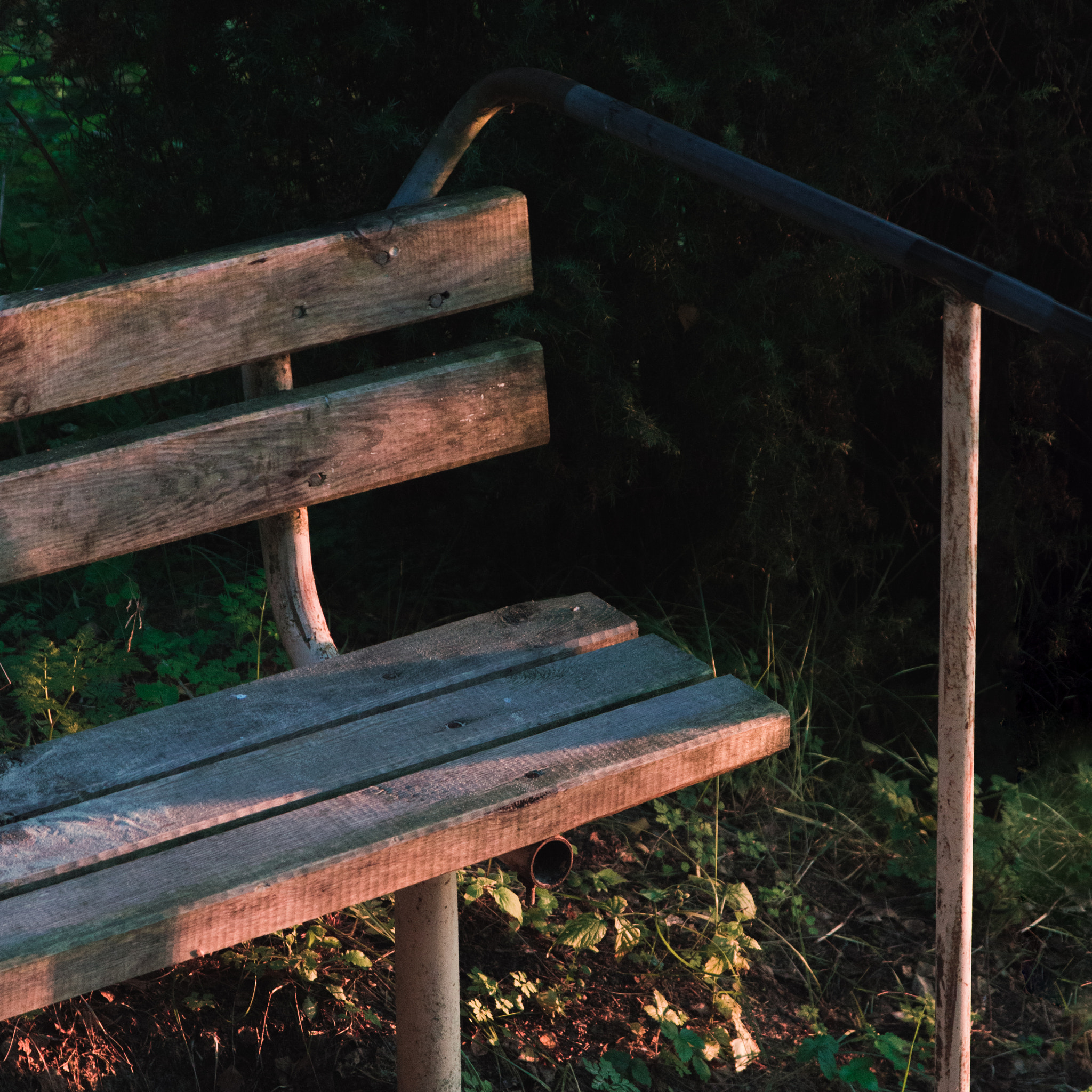 Sigma 17-70mm F2.8-4 DC Macro OS HSM sample photo. Bench photography