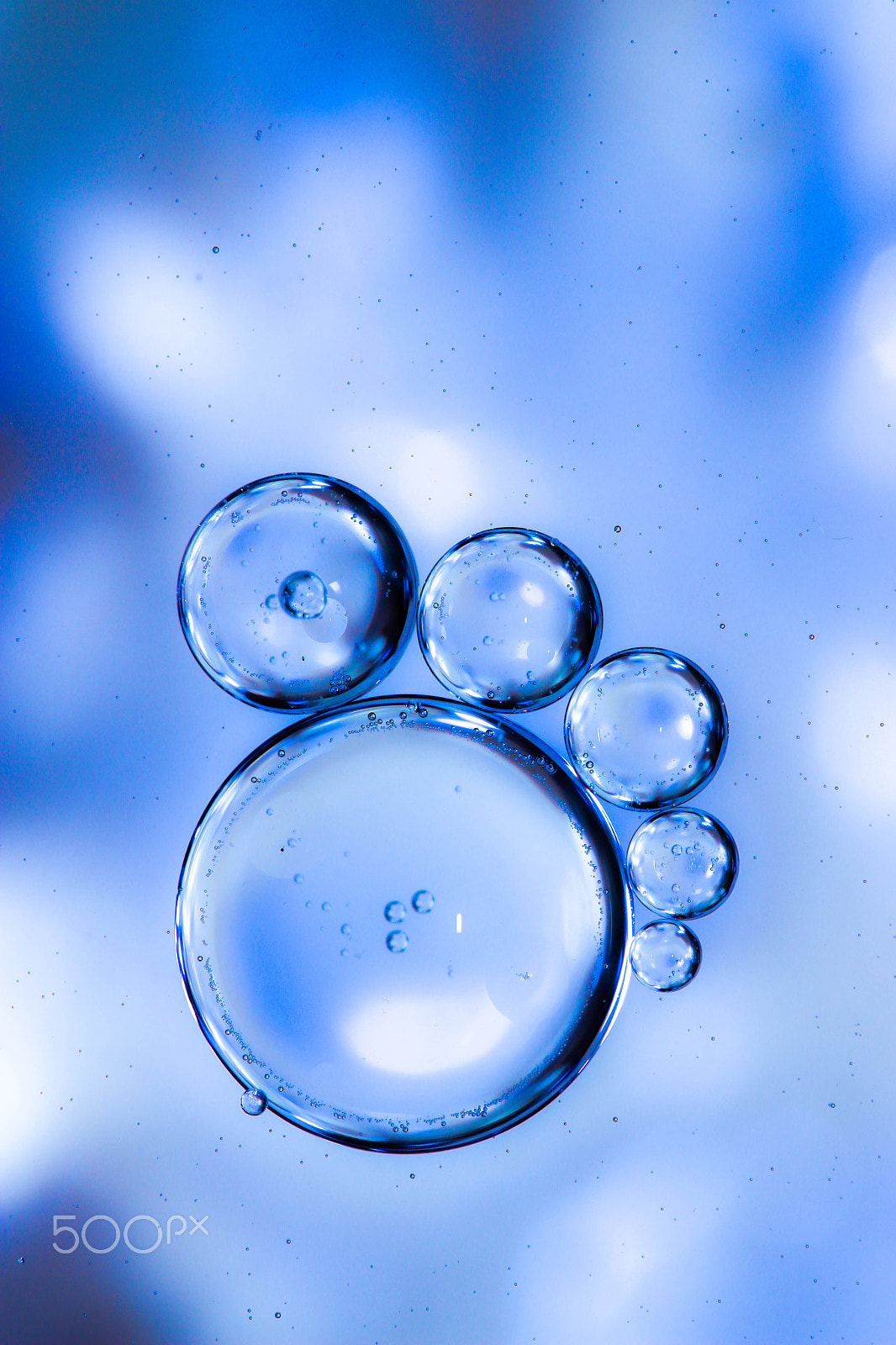 Canon EF-S 60mm F2.8 Macro USM sample photo. Bigfoot photography