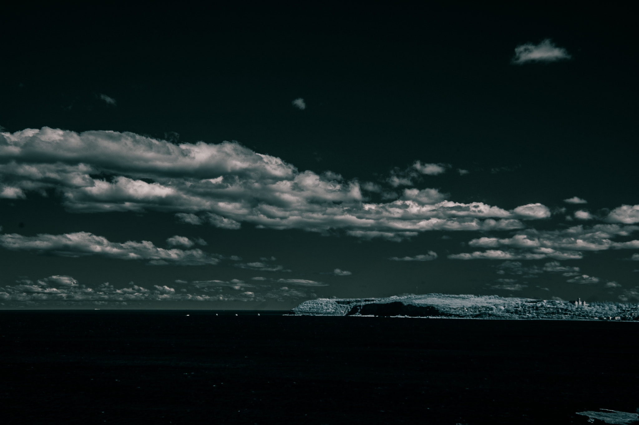 Nikon D70 sample photo. Curl curl headland infrared photography