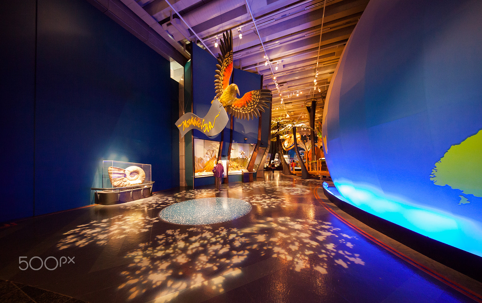 Canon EF 11-24mm F4L USM sample photo. Tepapa photography