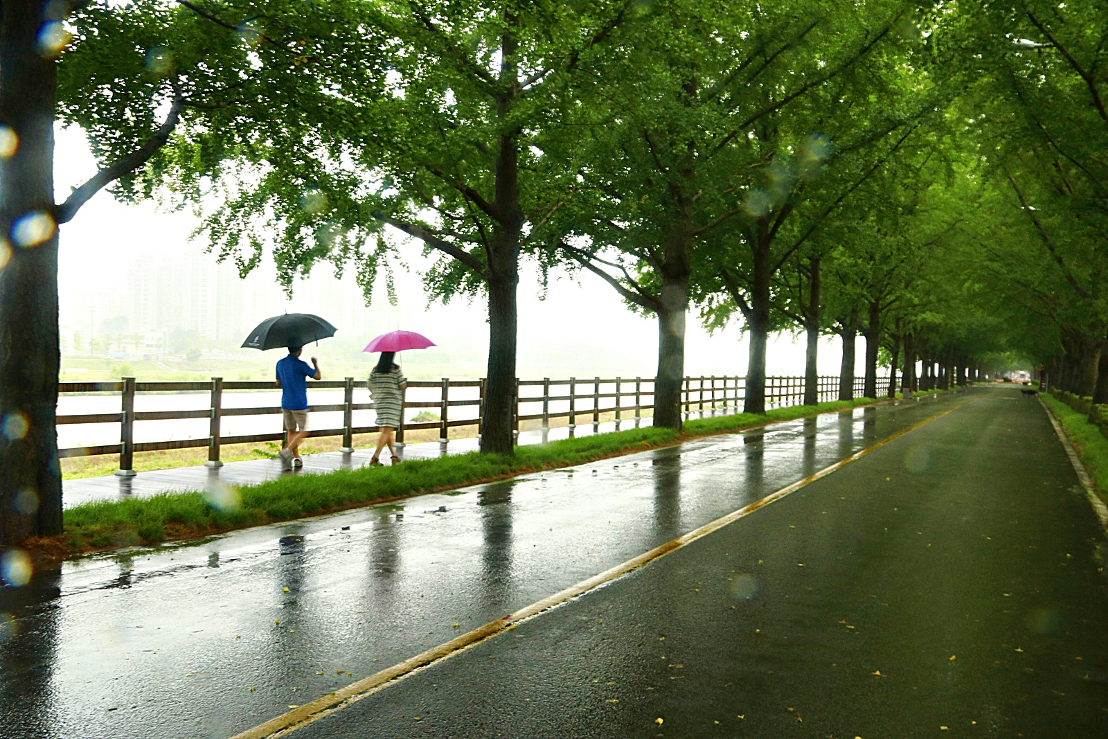 Canon EOS 750D (EOS Rebel T6i / EOS Kiss X8i) sample photo. It is raining photography