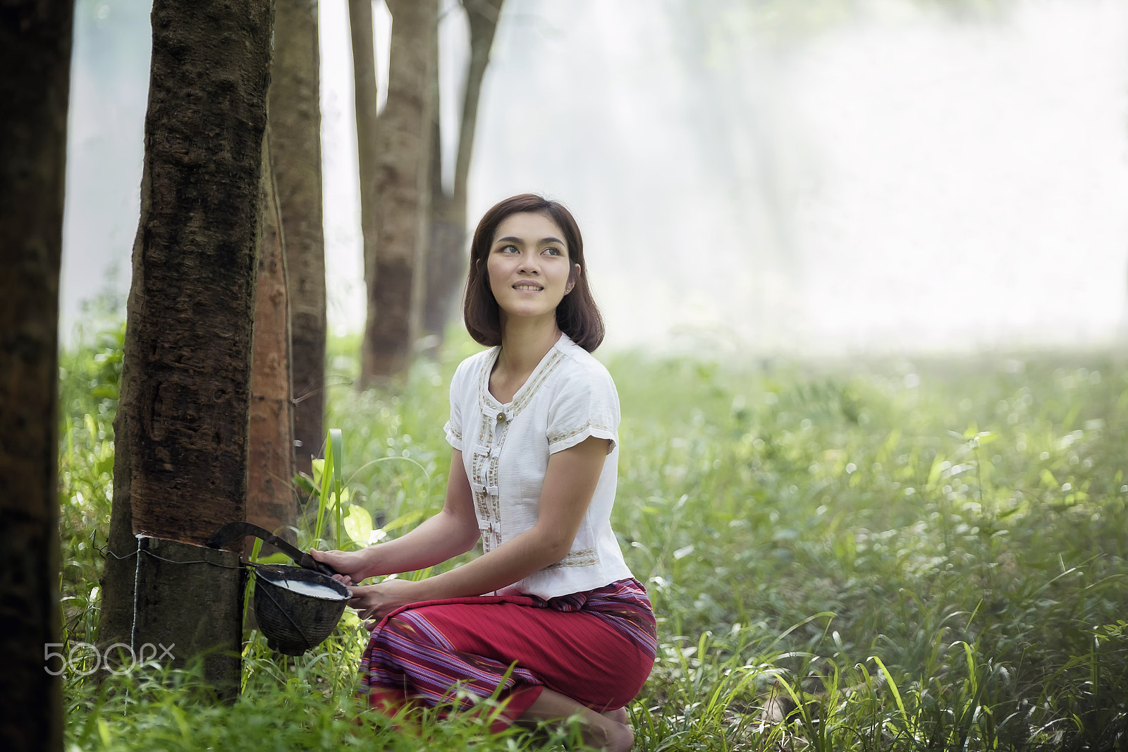 Fujifilm X-E2 + Fujifilm XF 50-140mm F2.8 R LM OIS WR sample photo. Woman rubber tapping in rubber tree row,thailand photography