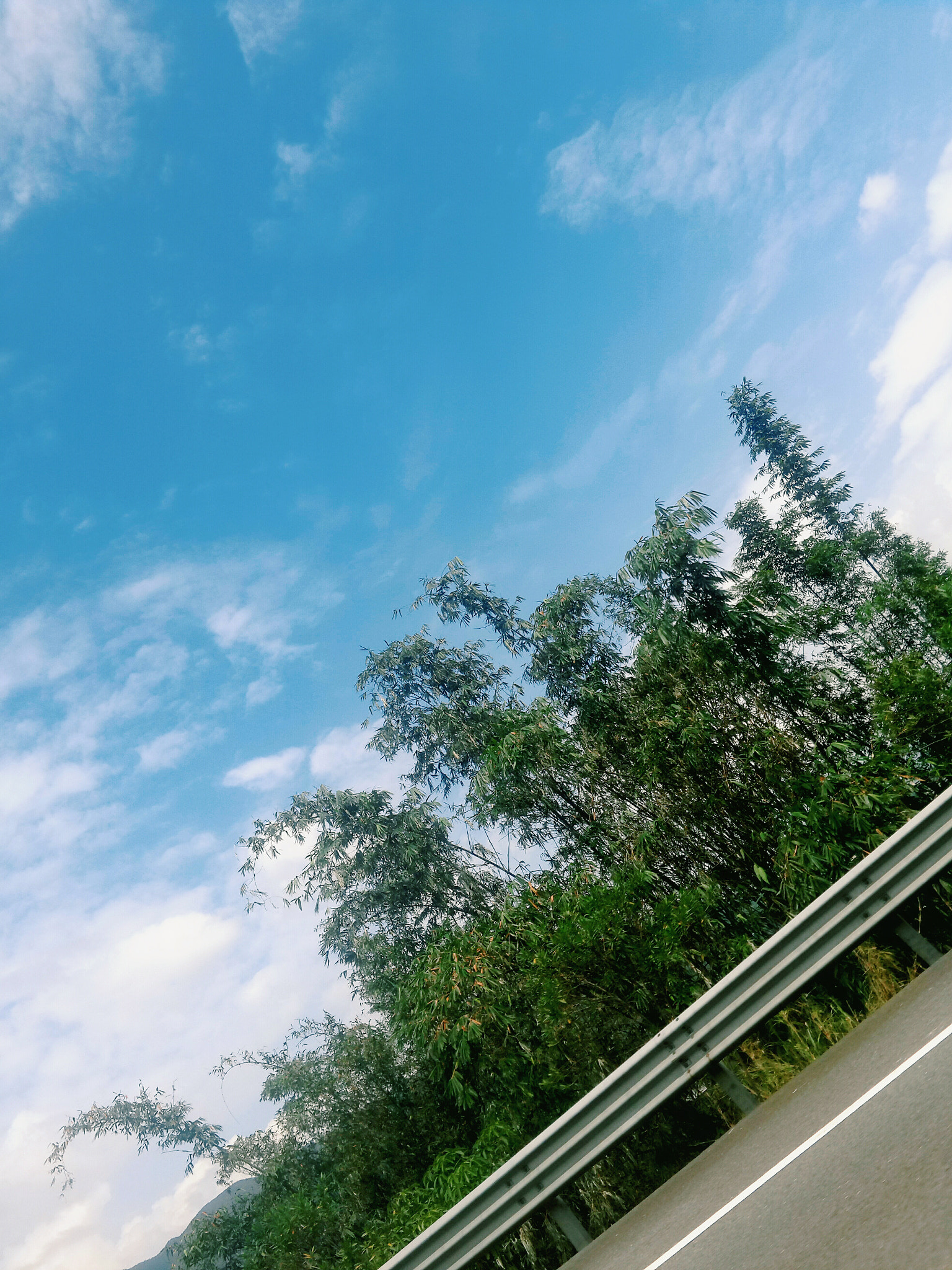 Meizu MX4 Pro sample photo. 竹 photography