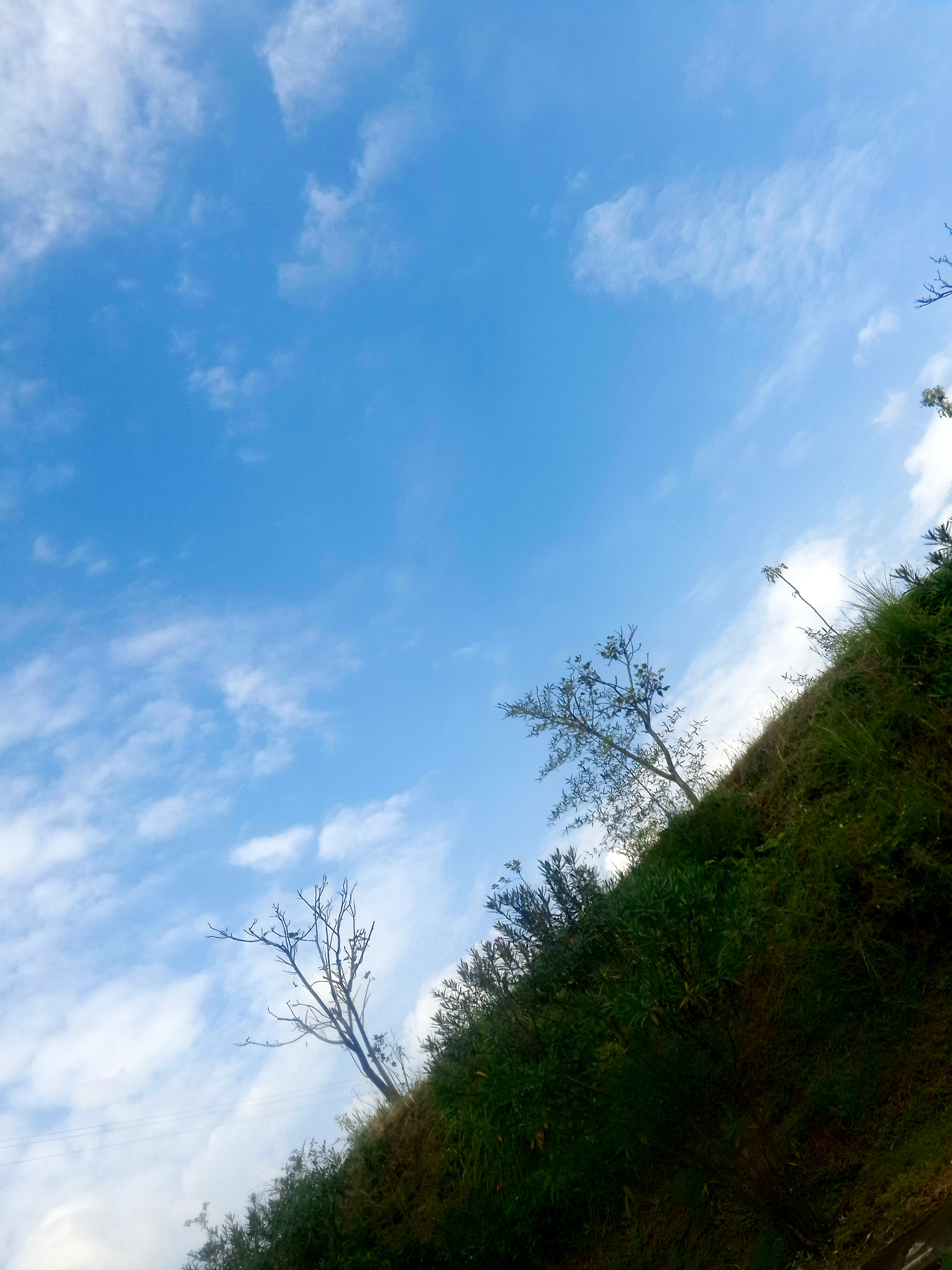 Meizu MX4 Pro sample photo. 斜坡 photography