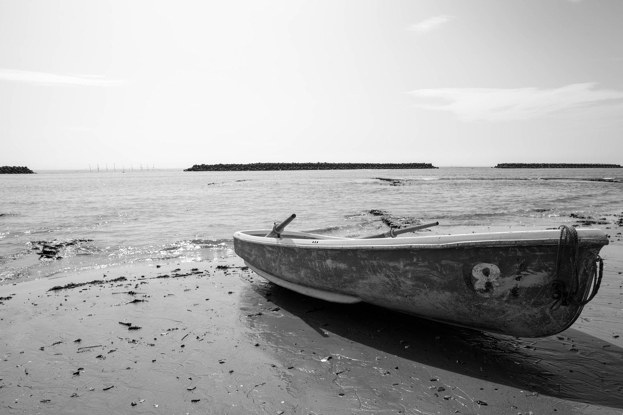 Nikon Df sample photo. Silent photography