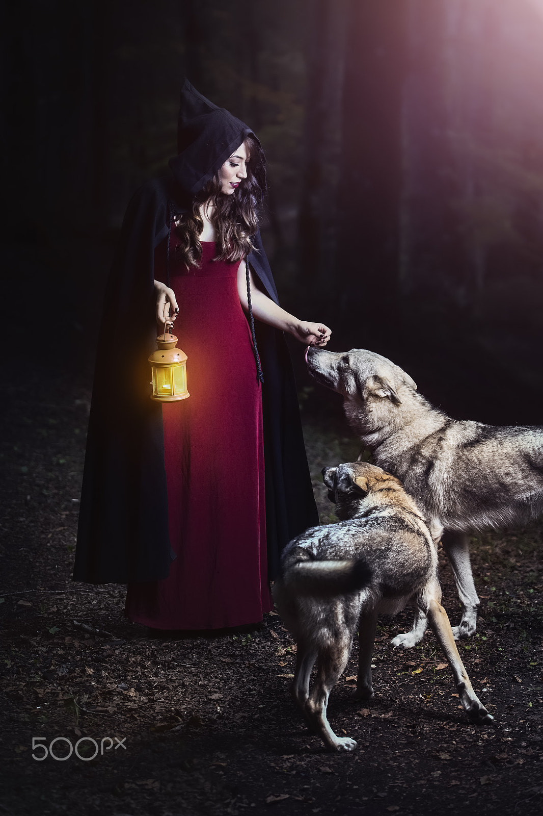 Tamron SP 70-200mm F2.8 Di VC USD sample photo. Lady wolf photography