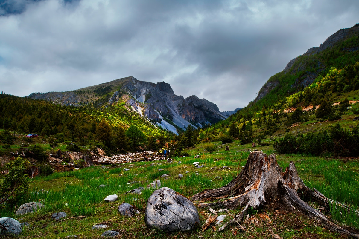 Nikon D800E + Nikon PC-E Nikkor 24mm F3.5D ED Tilt-Shift sample photo. Dsc photography