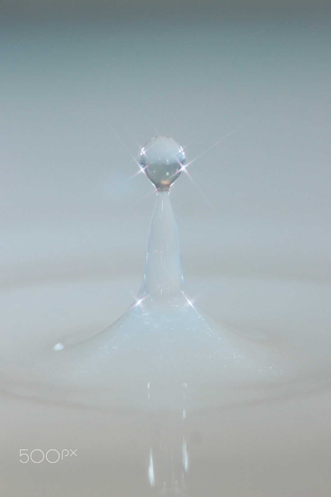 Canon EF 100mm F2.8 Macro USM sample photo. Pure photography