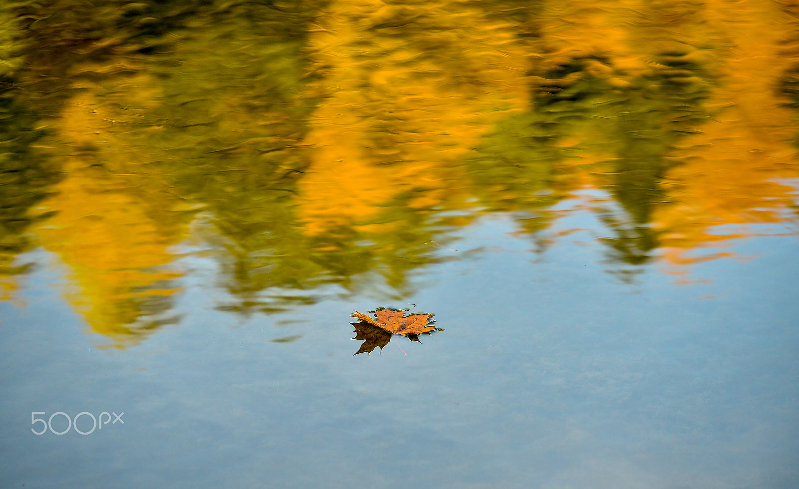 Nikon D4S sample photo. Autumn in lithuania photography
