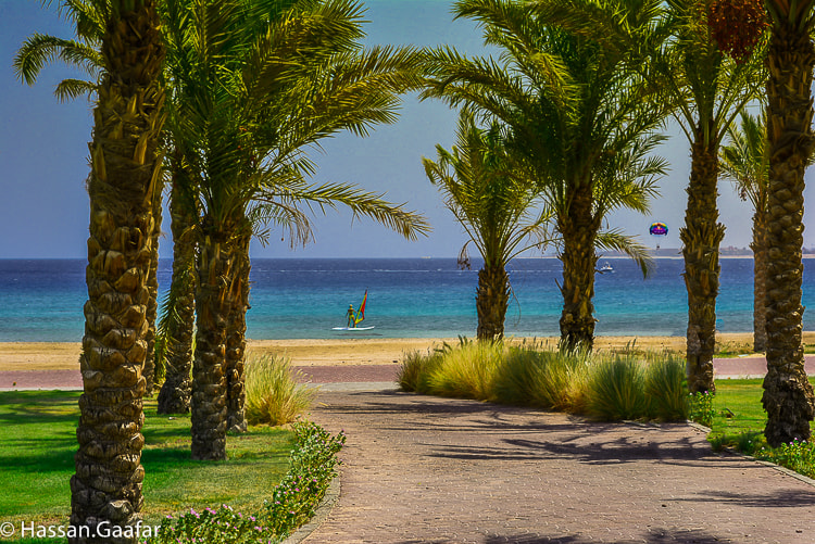 Nikon AF-Nikkor 80-200mm F2.8D ED sample photo. Red sea photography