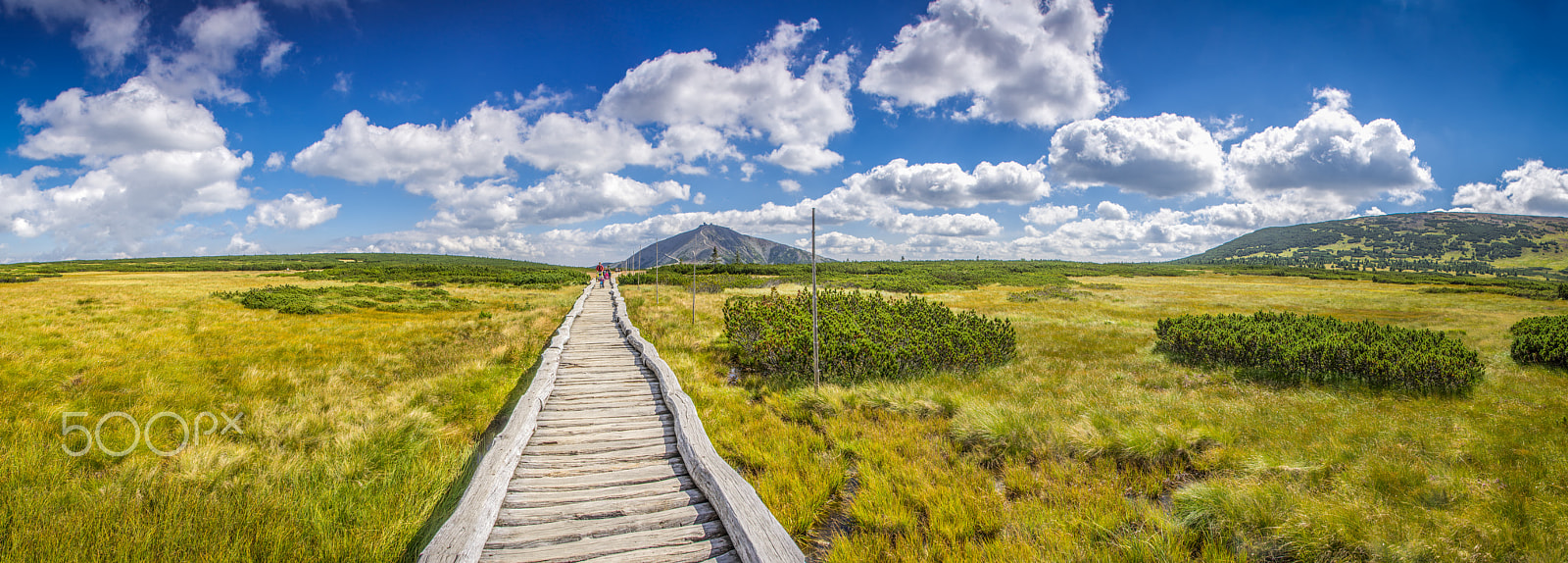 Nikon D7100 sample photo. Peatlands under mt. Śnieżka, czech republic photography