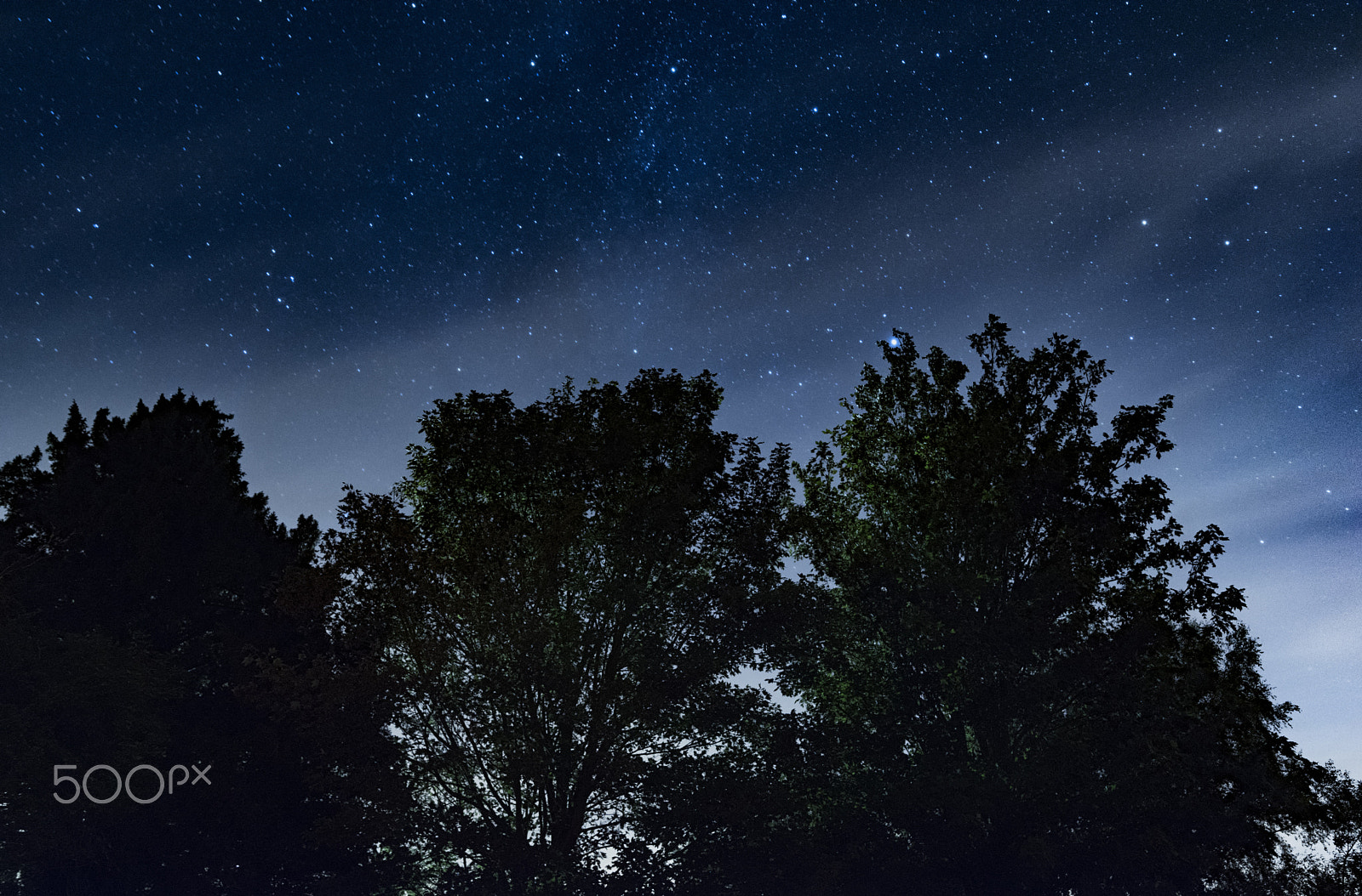 Nikon D5500 sample photo. Holme night sky photography