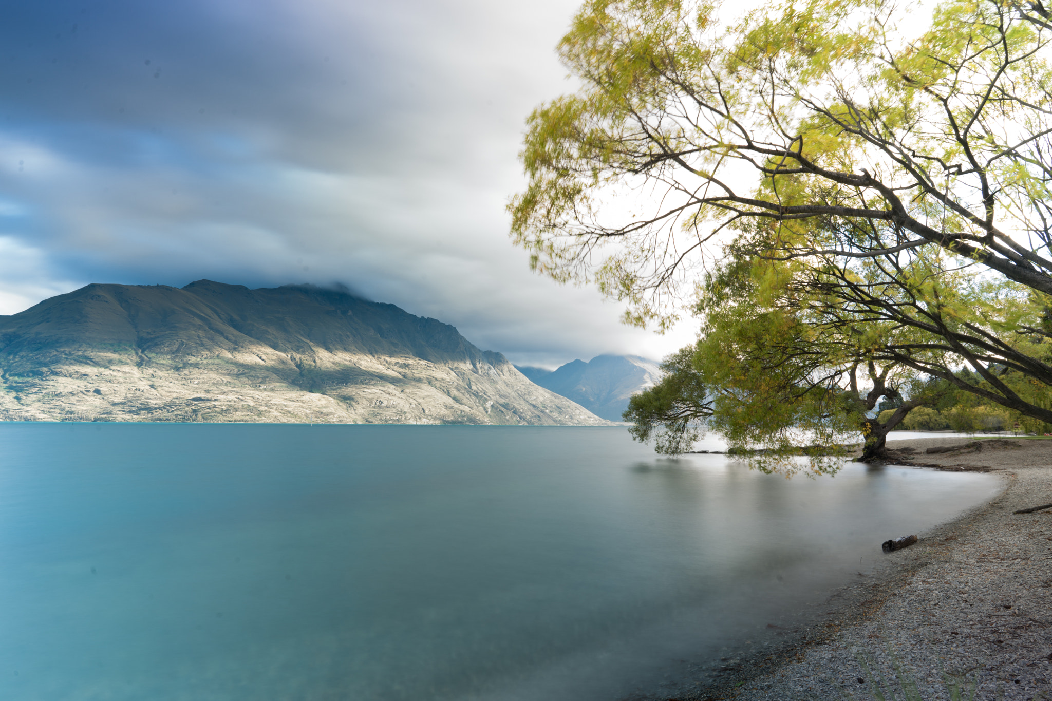 Sony a7 sample photo. Queenstown willow photography