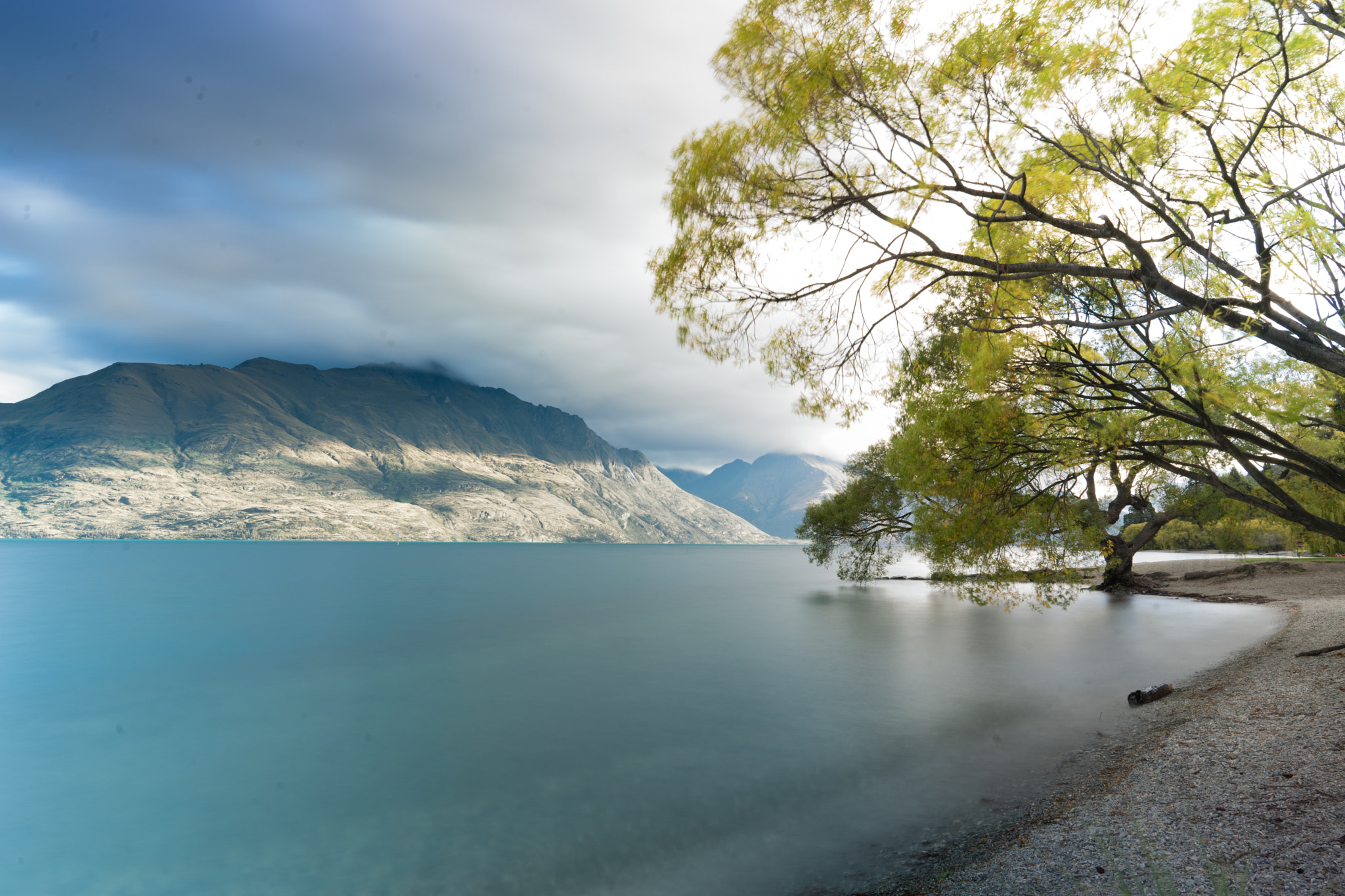 Sony a7 + ZEISS Batis 25mm F2 sample photo. Queenstown willow photography