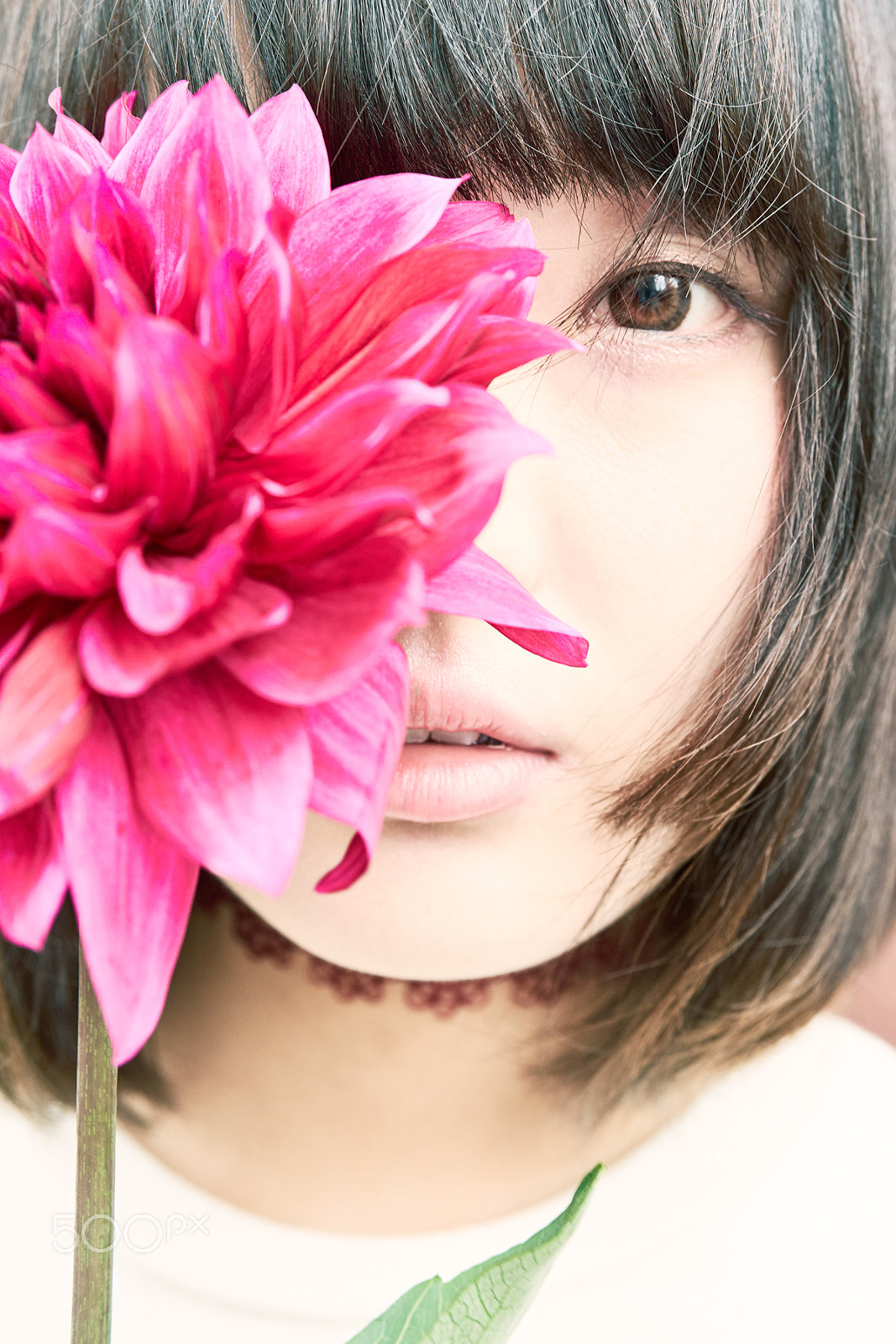 Sony a7 II + Sony Planar T* FE 50mm F1.4 ZA sample photo. Dahlia photography