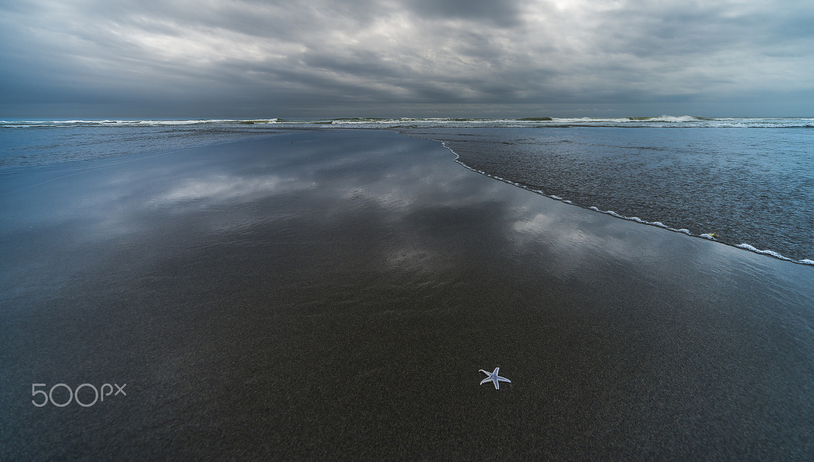 Nikon D800 sample photo. Starfish photography