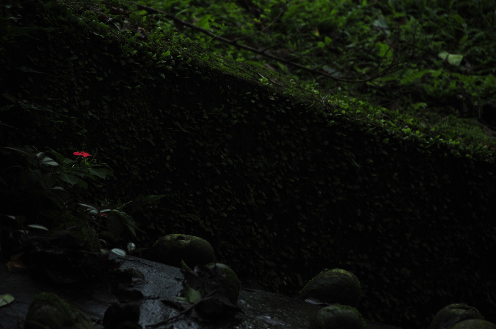 Nikon D3 sample photo. .. photography