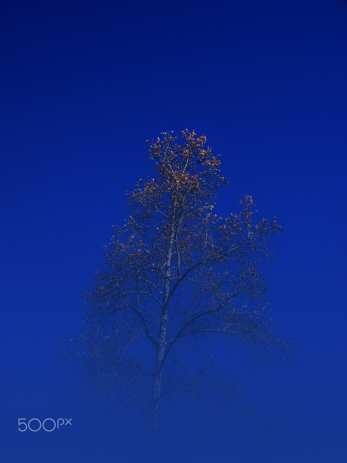 Kodak EASYSHARE Z1485 IS DIGITAL CAMERA sample photo. Eno fall photography