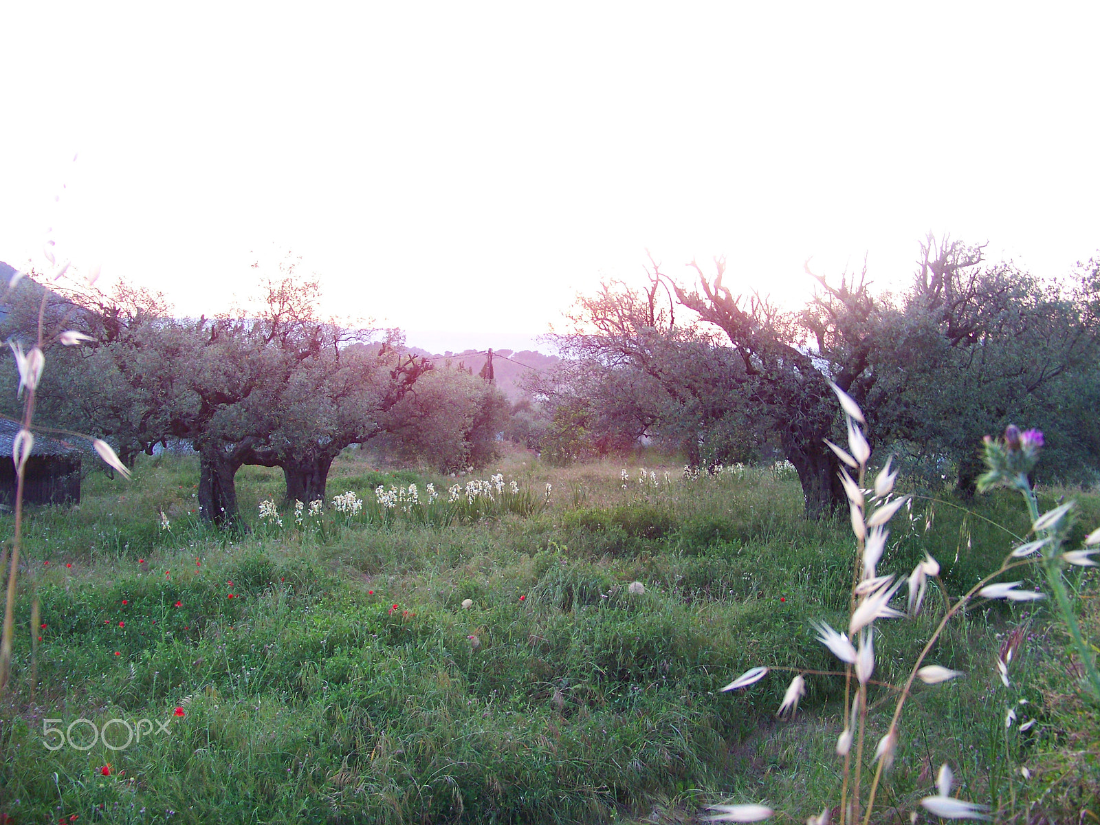 Kodak EASYSHARE Z1012 IS DIGITAL CAMERA sample photo. Sunset photography