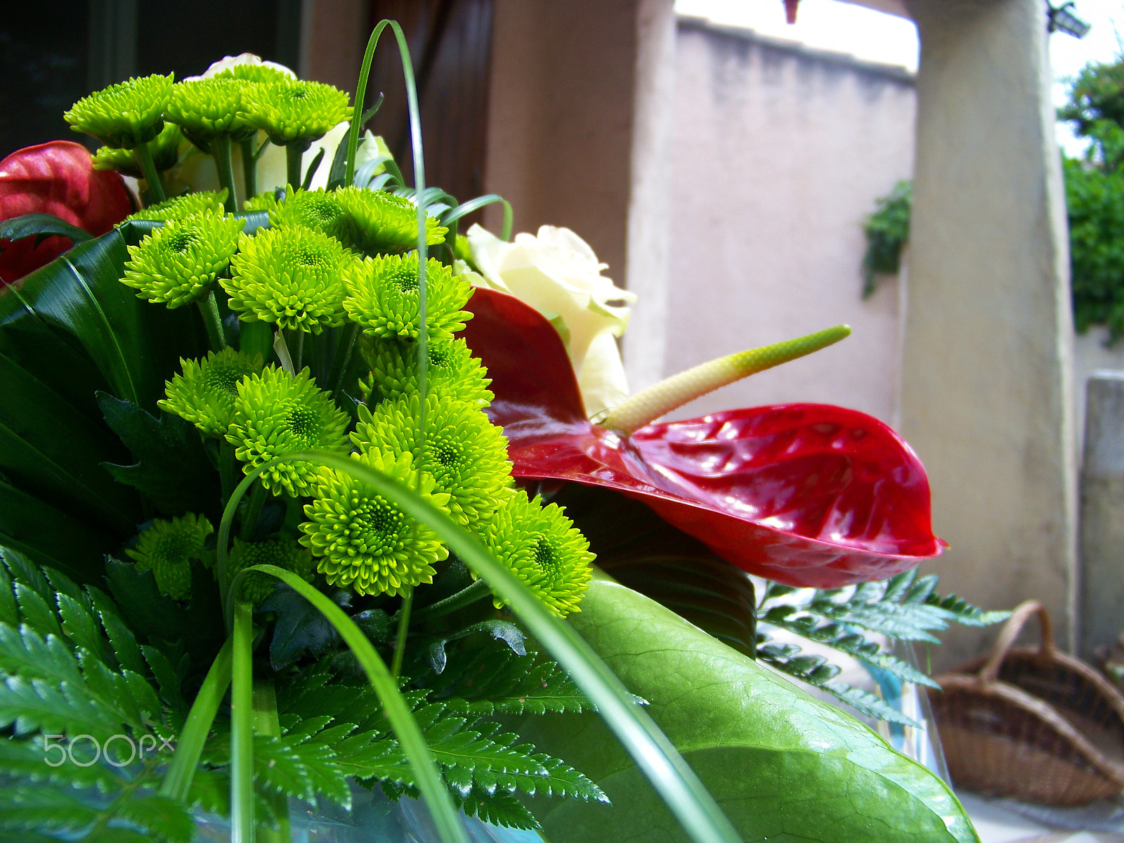 Kodak EASYSHARE Z1012 IS DIGITAL CAMERA sample photo. For mother photography