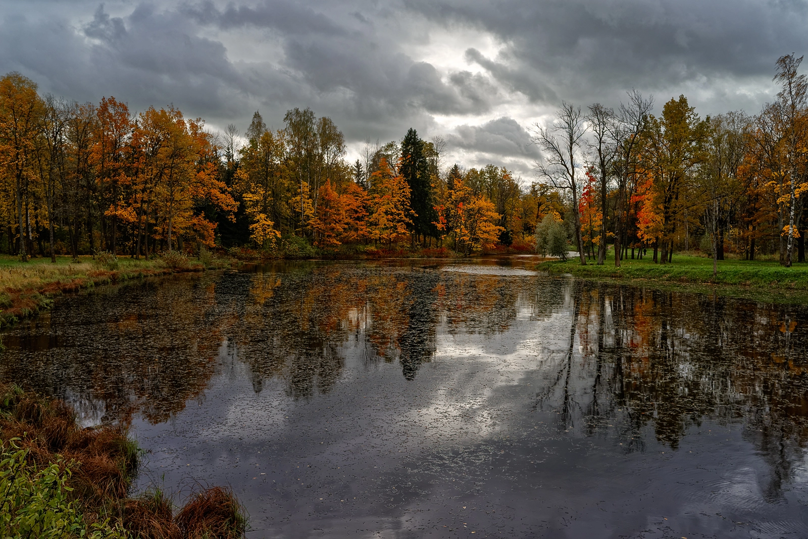 Pentax K-1 sample photo. Golden autumn _11_ photography