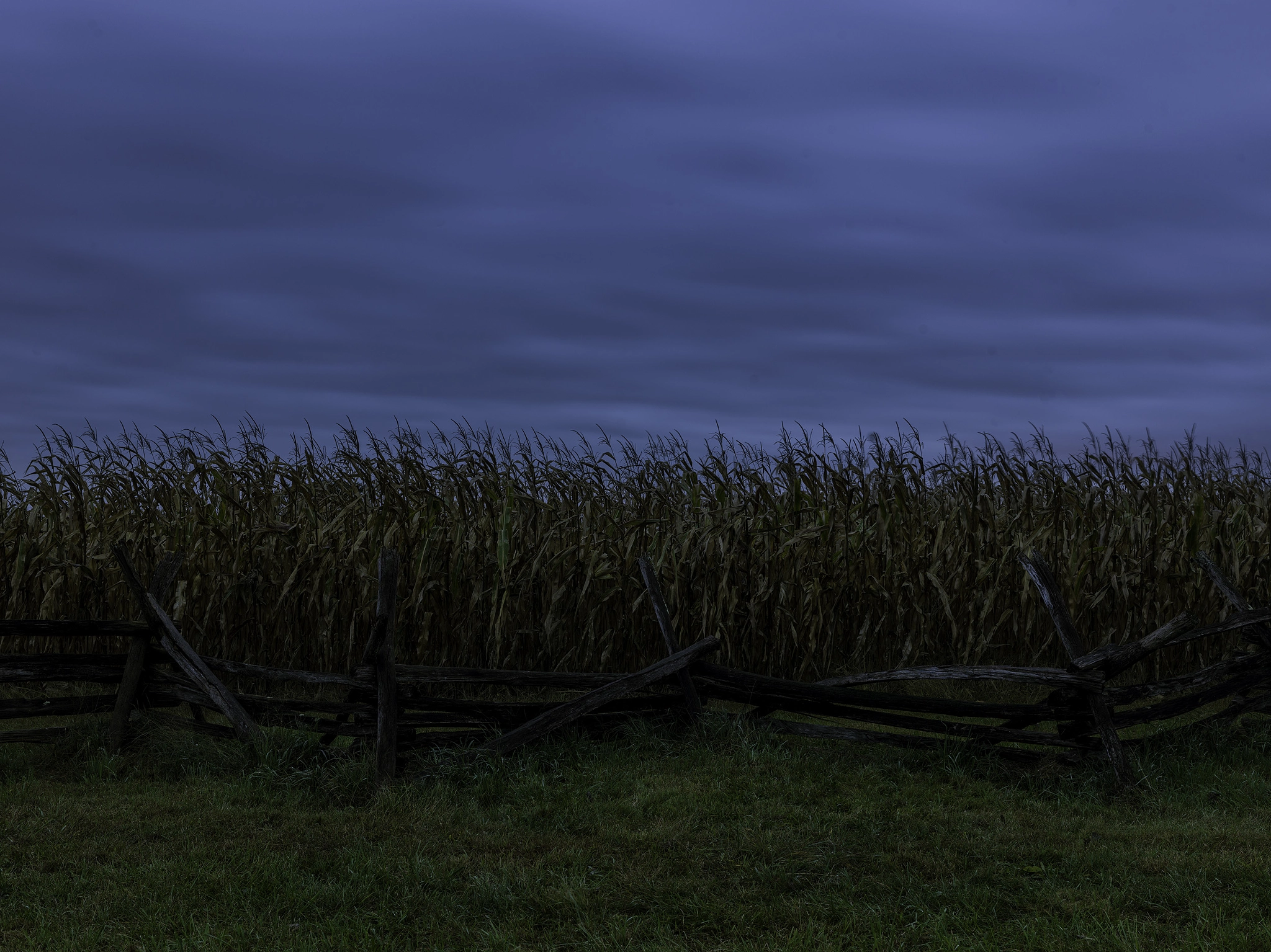 Hasselblad H5D-50c + HC 50 II sample photo. The cornfield, antietam photography