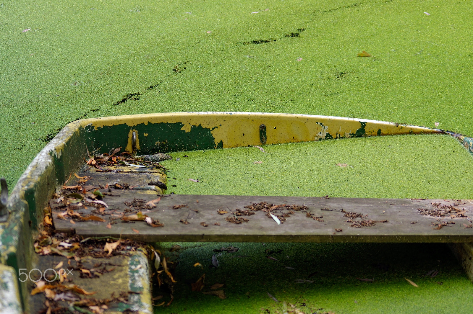 Pentax K-3 sample photo. Partially sunken moored wooden rowboat with leaves. photography