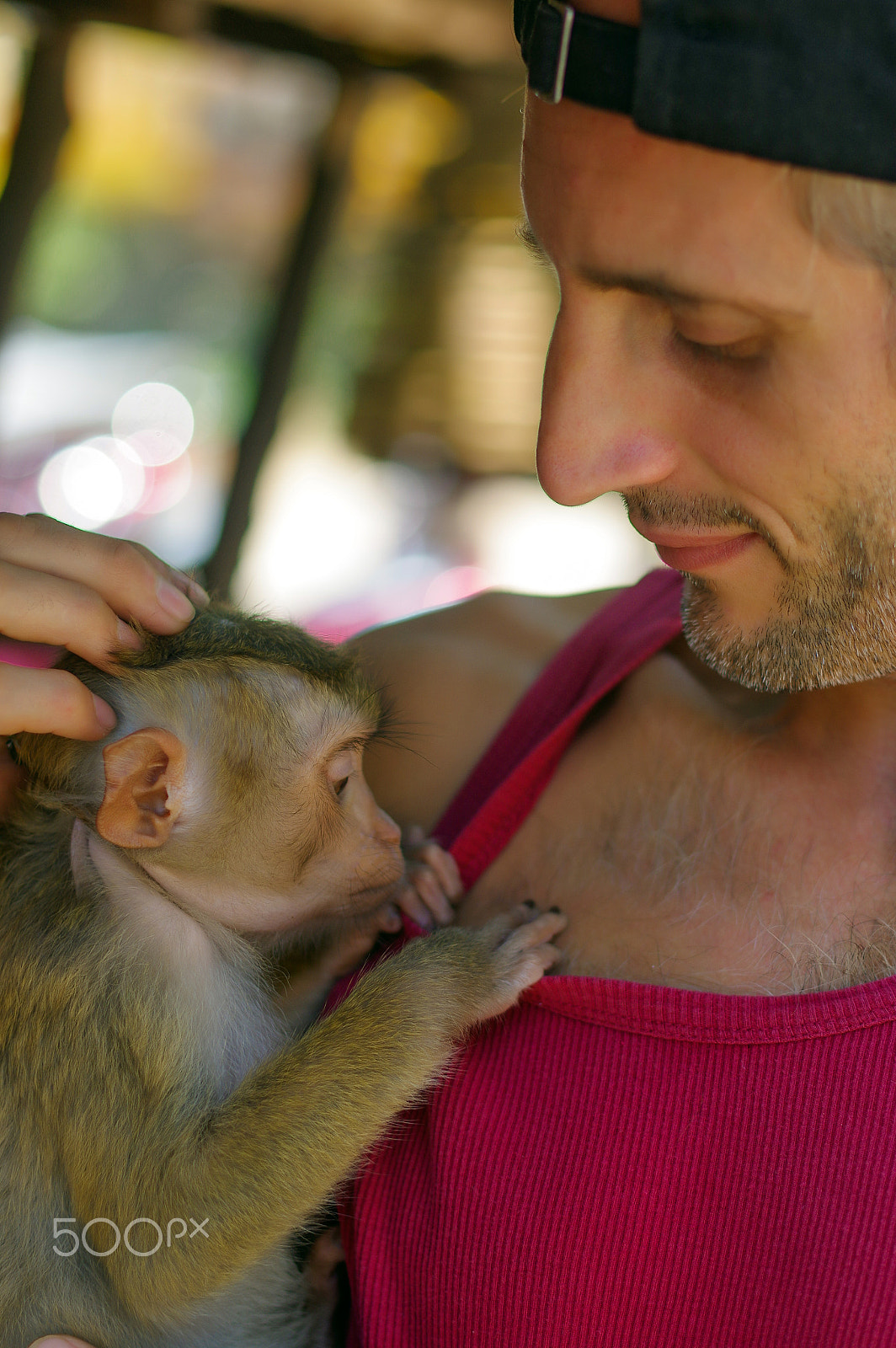 Pentax K-3 sample photo. Man holds a young rhesus macaque macaca mulatta on the armp, pot photography