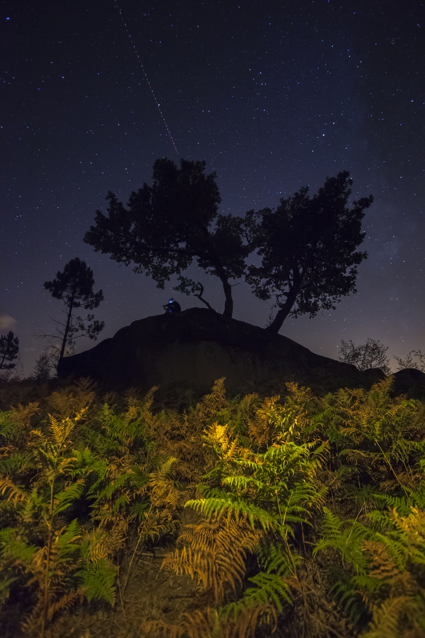 Sigma 15-30mm f/3.5-4.5 EX DG Aspherical sample photo. Img photography