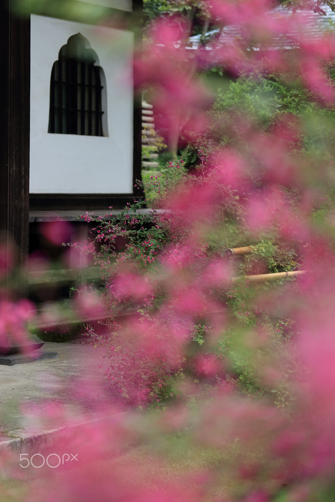 Canon EF-S 60mm F2.8 Macro USM sample photo. Japanese bush cover in a temple photography