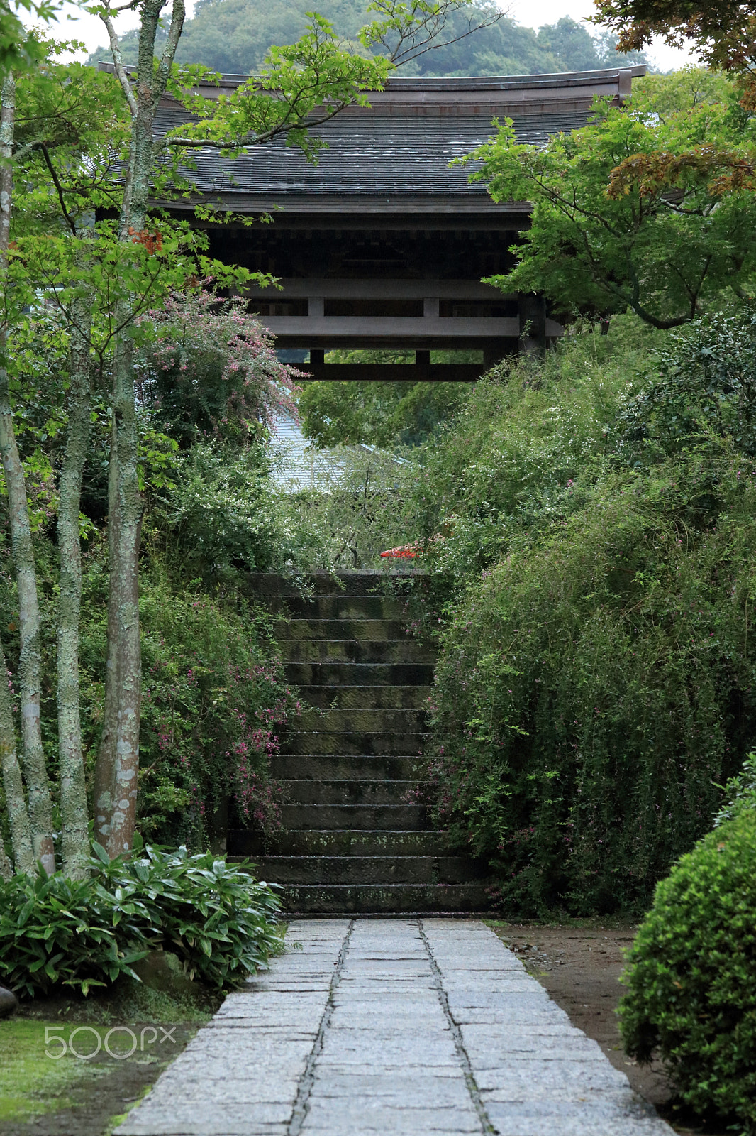 Canon EF-S 60mm F2.8 Macro USM sample photo. Front approach to kaizoji temple photography