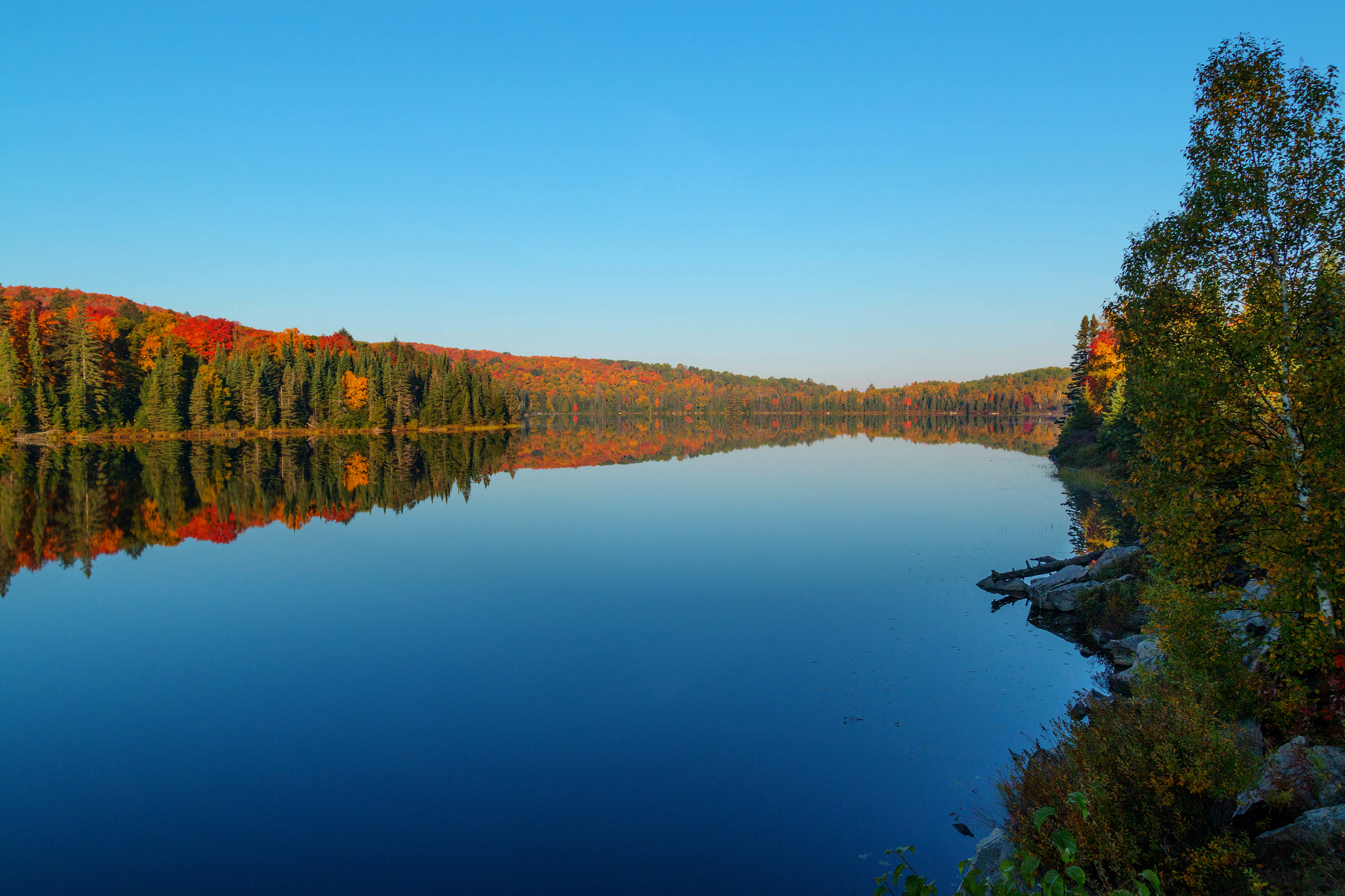 Canon EOS 70D sample photo. Algonquin park morning scene photography