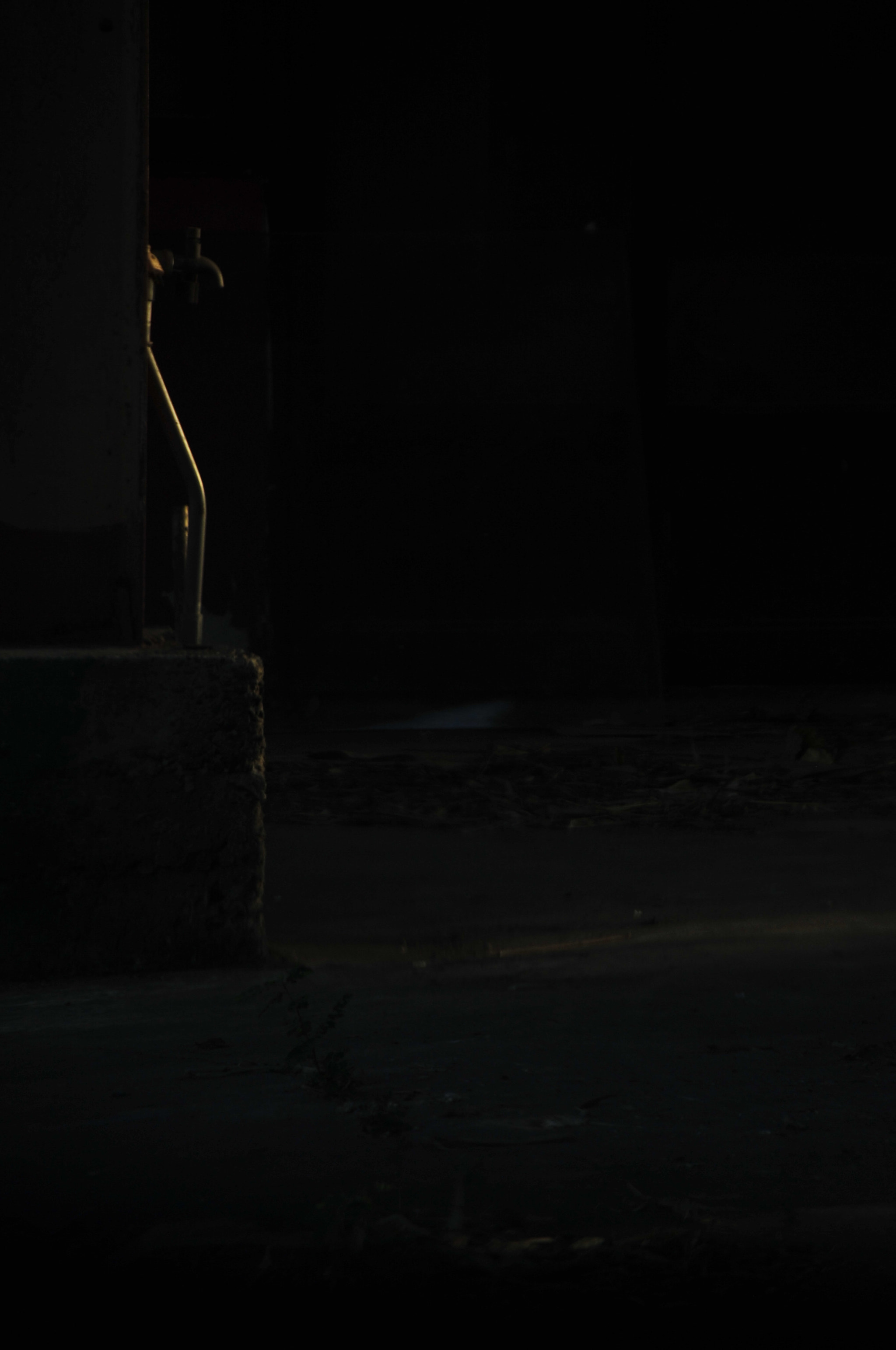 Nikon D3 sample photo. .. photography