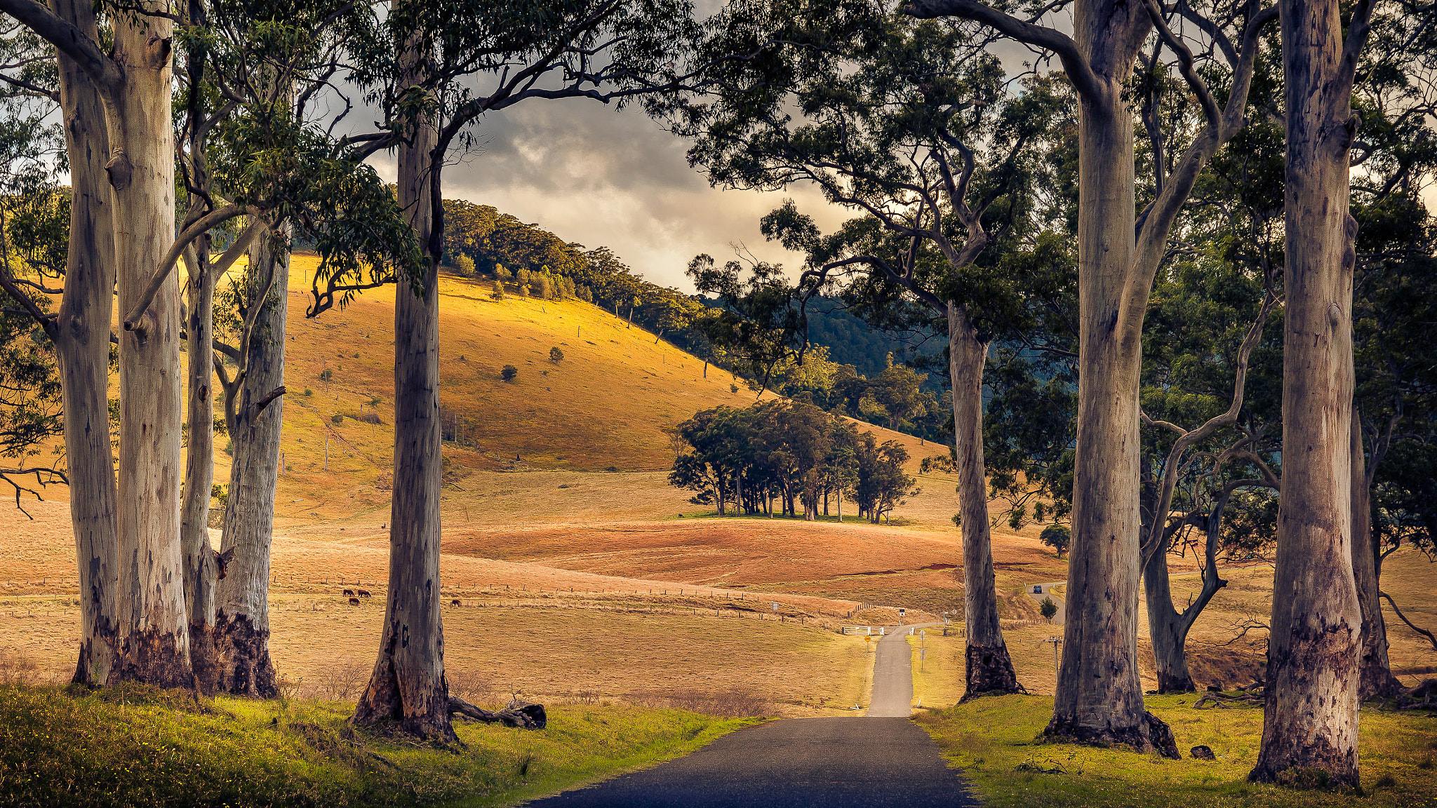 Nikon D600 + Sigma 24-105mm F4 DG OS HSM Art sample photo. Spring creek road photography