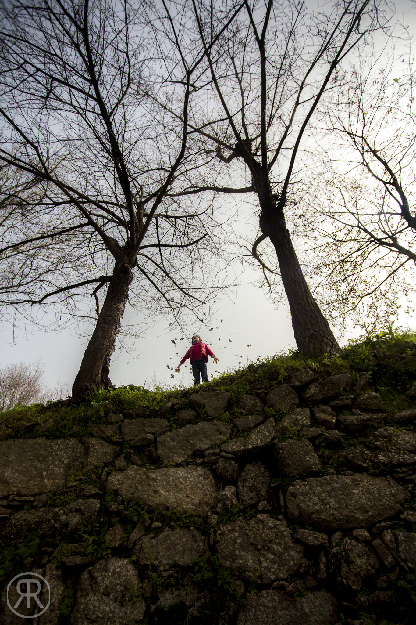 Sigma 15-30mm f/3.5-4.5 EX DG Aspherical sample photo. Img photography