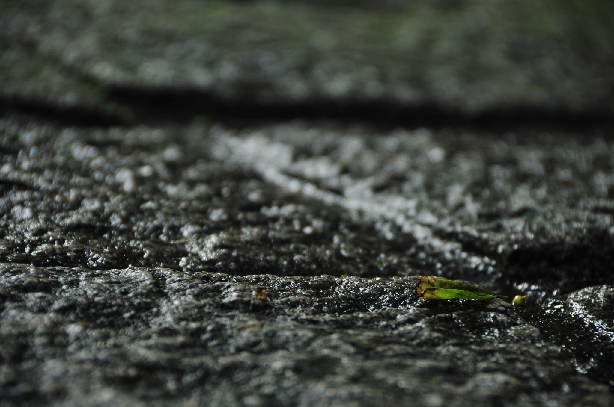 Nikon D3 sample photo. .. photography