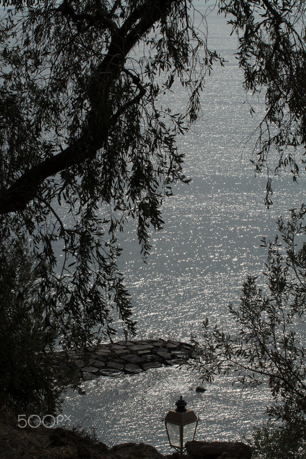Pentax K-S1 sample photo. Cervo n3 photography