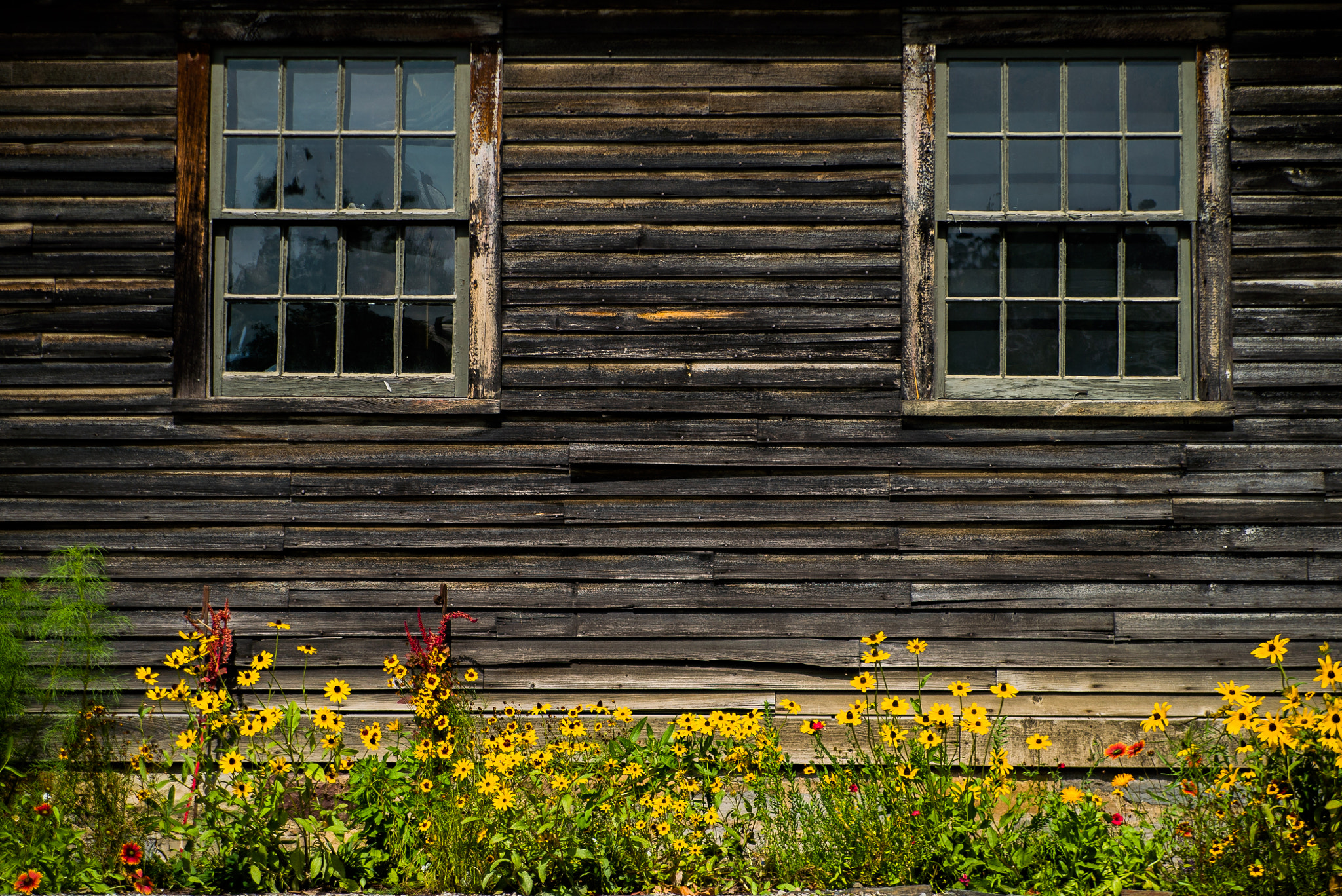 Sony a7S sample photo. Siding photography