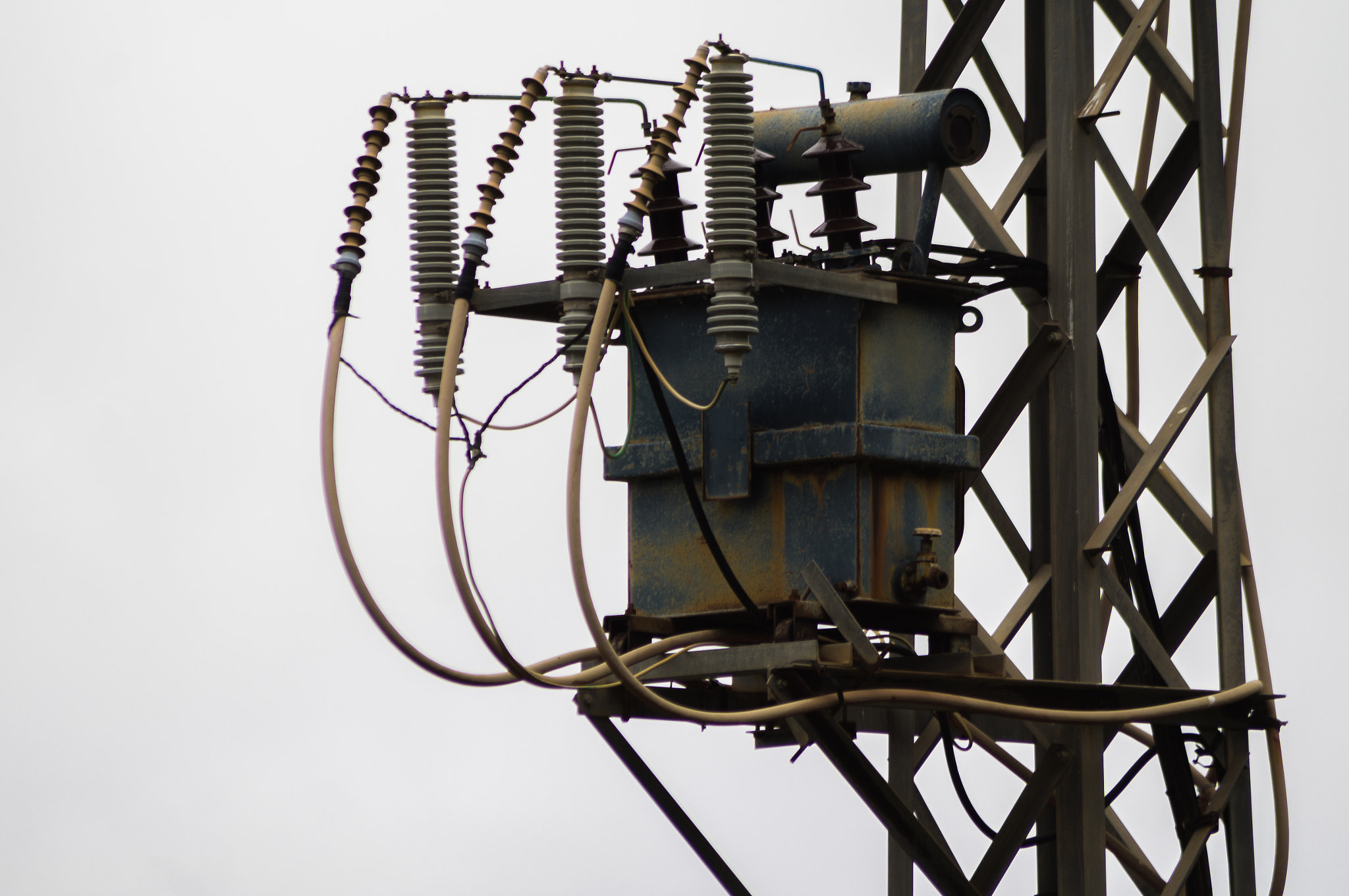 Sony 75-300mm F4.5-5.6 sample photo. Feel the power photography