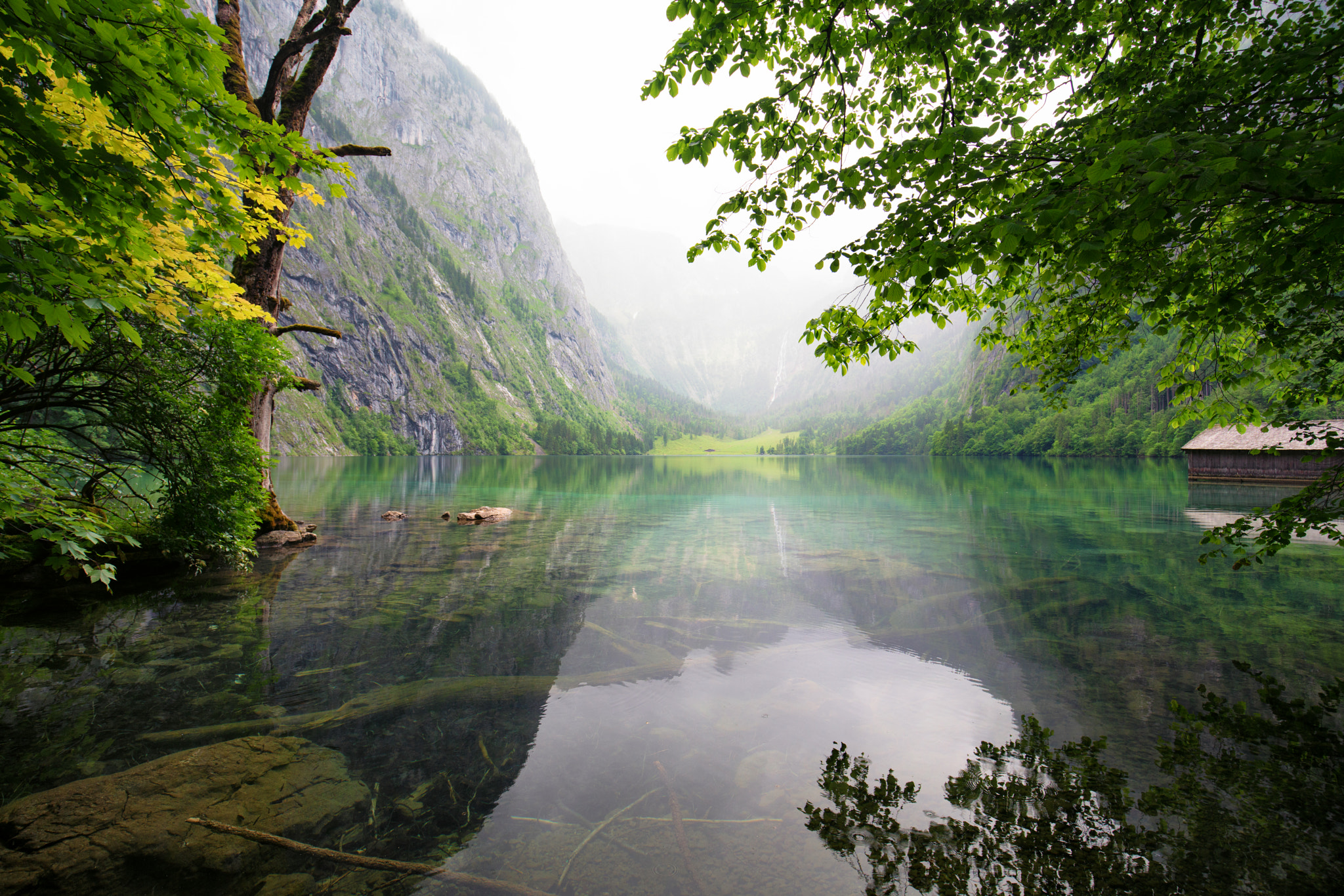 Sony a7R II sample photo. Rainy day in obersee lake photography