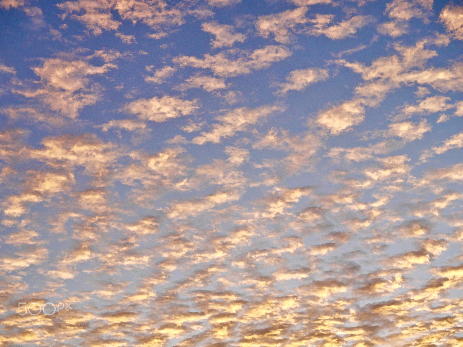 LUMIX G VARIO 35-100/F4.0-5.6 sample photo. Heaven' above photography
