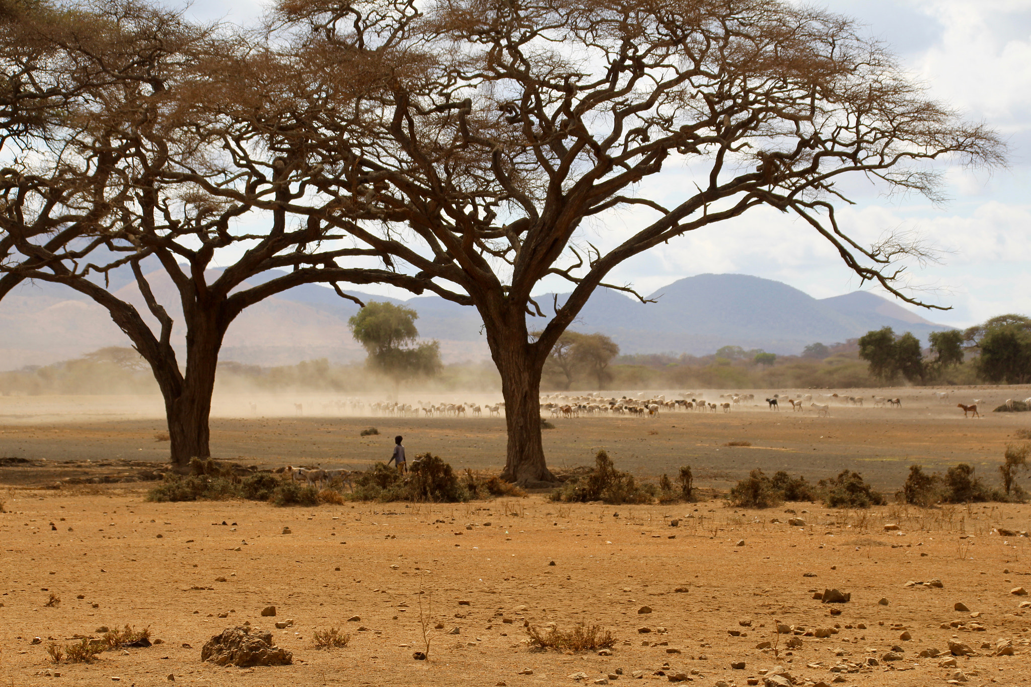 Canon EF 75-300mm F4.0-5.6 IS USM sample photo. Maasai stock photography