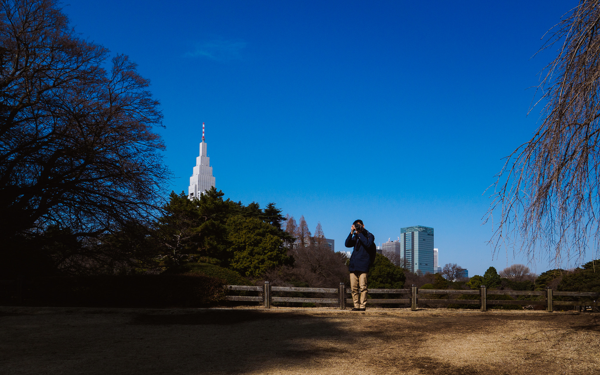 Olympus OM-D E-M5 II sample photo. Tokyo walks #5 photography