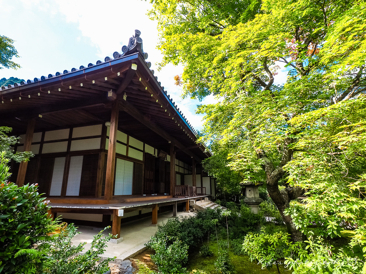 Olympus Zuiko Digital ED 9-18mm F4.0-5.6 sample photo. 常寂光寺 photography