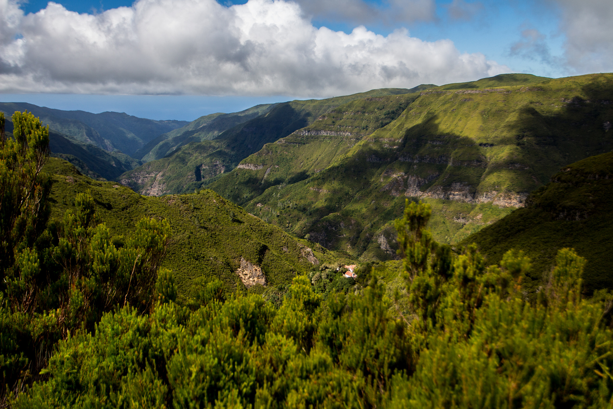 Canon EOS 700D (EOS Rebel T5i / EOS Kiss X7i) + Canon EF 17-40mm F4L USM sample photo. Madeira xi photography