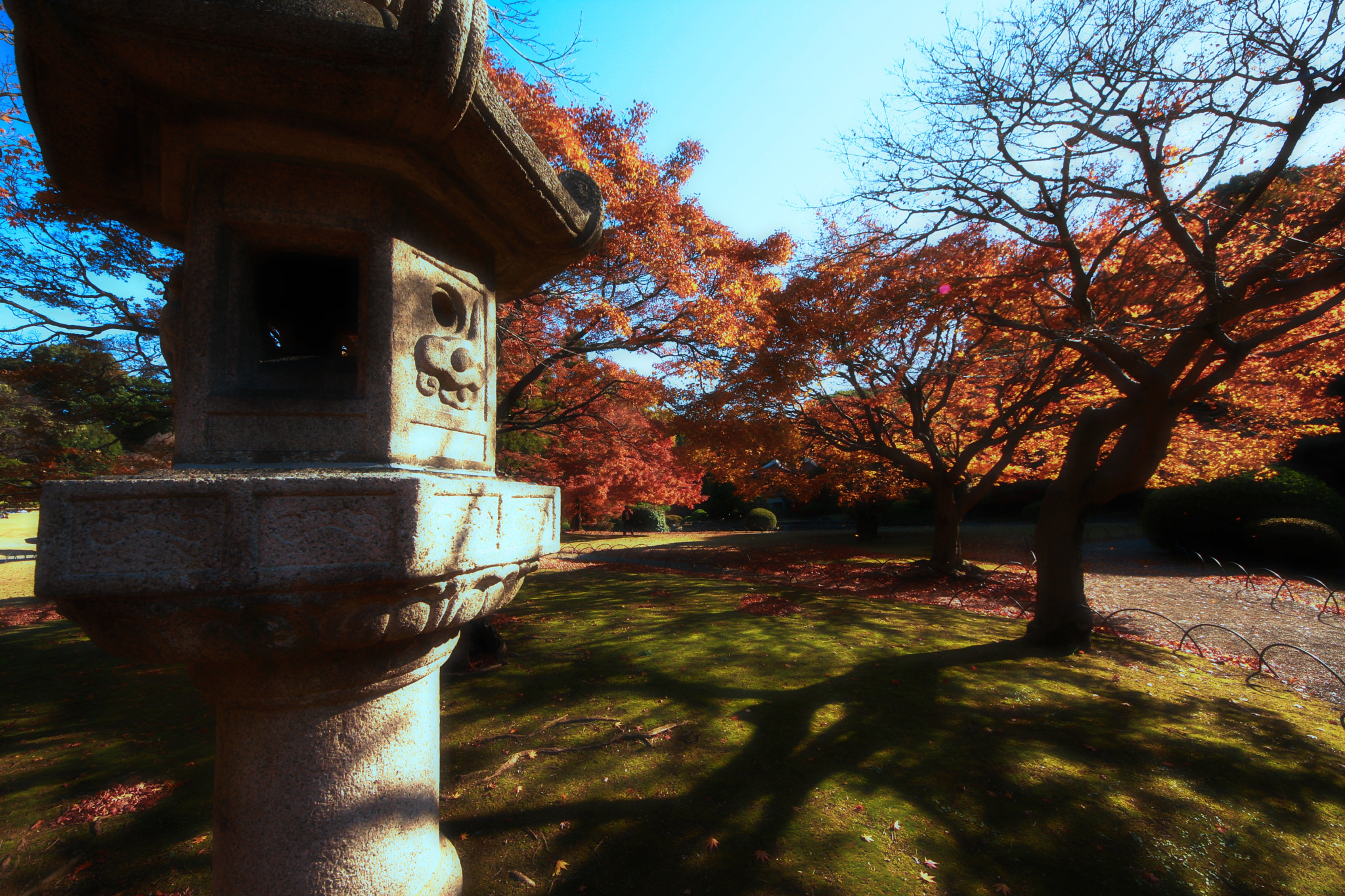 Sigma 8-16mm F4.5-5.6 DC HSM sample photo. Lanterns and autumn leaves photography