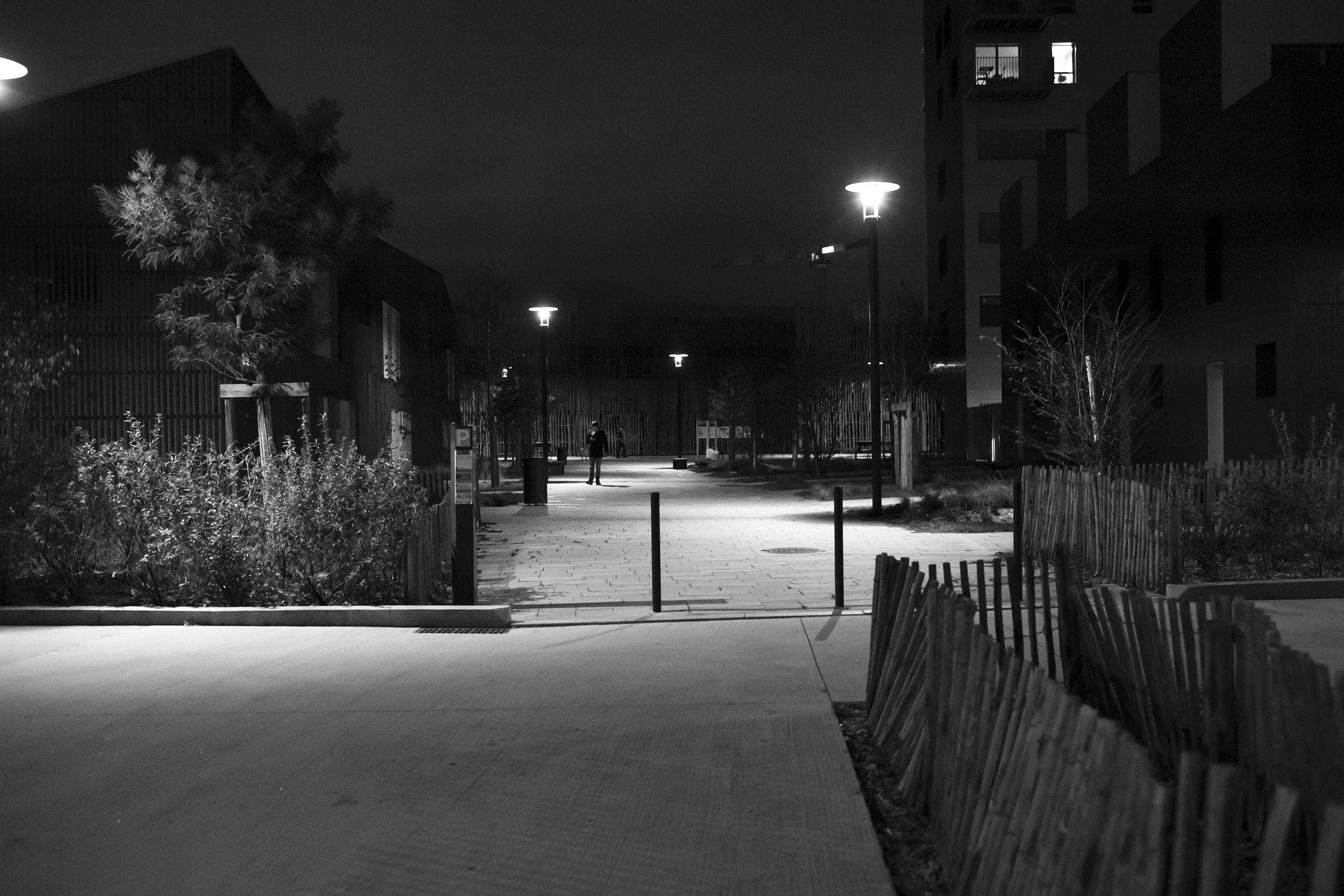 Nikon D700 + Nikon AF-S Nikkor 35mm F1.8G ED sample photo. Ballade urbaine photography