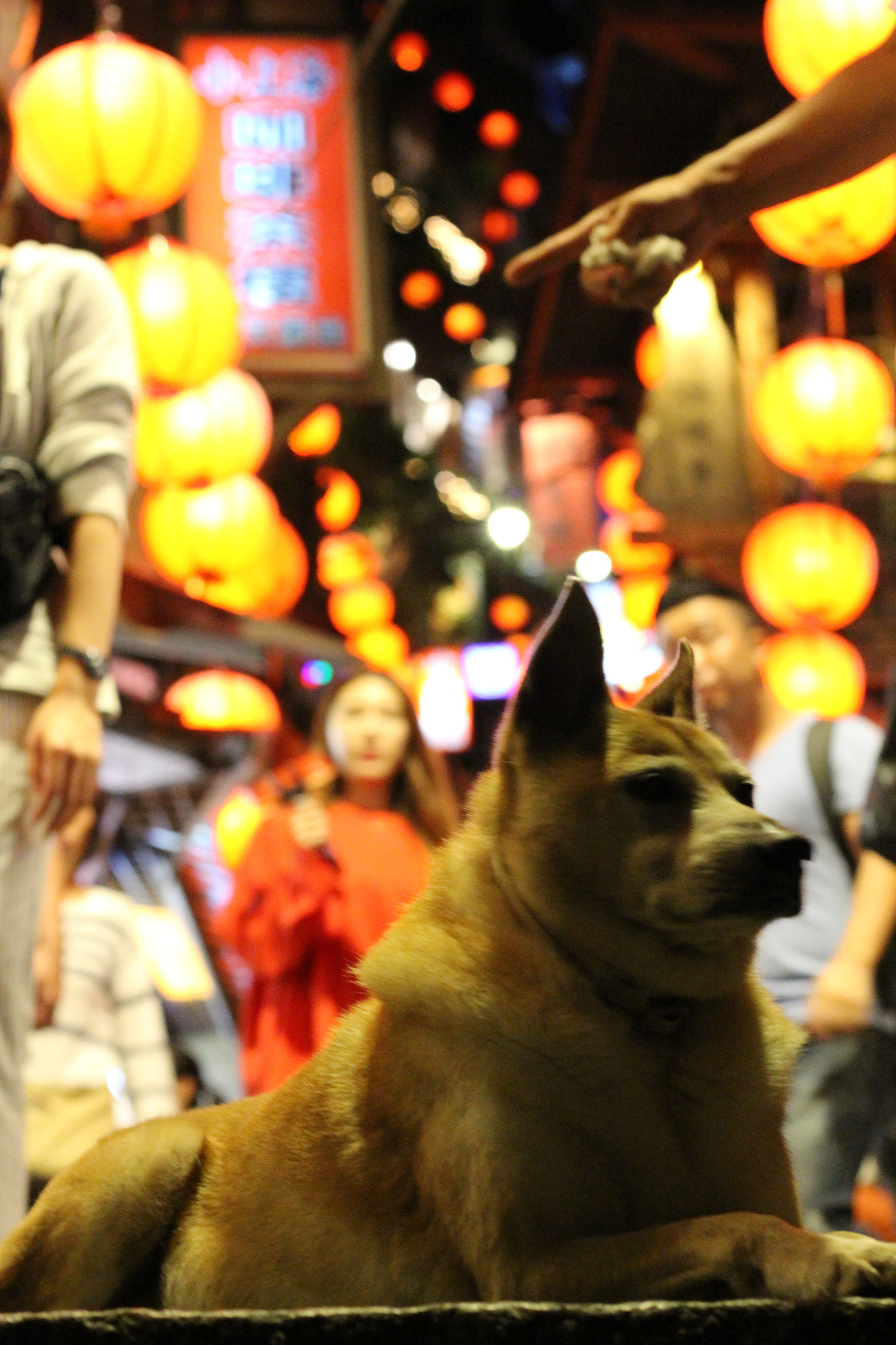 Canon EOS 700D (EOS Rebel T5i / EOS Kiss X7i) sample photo